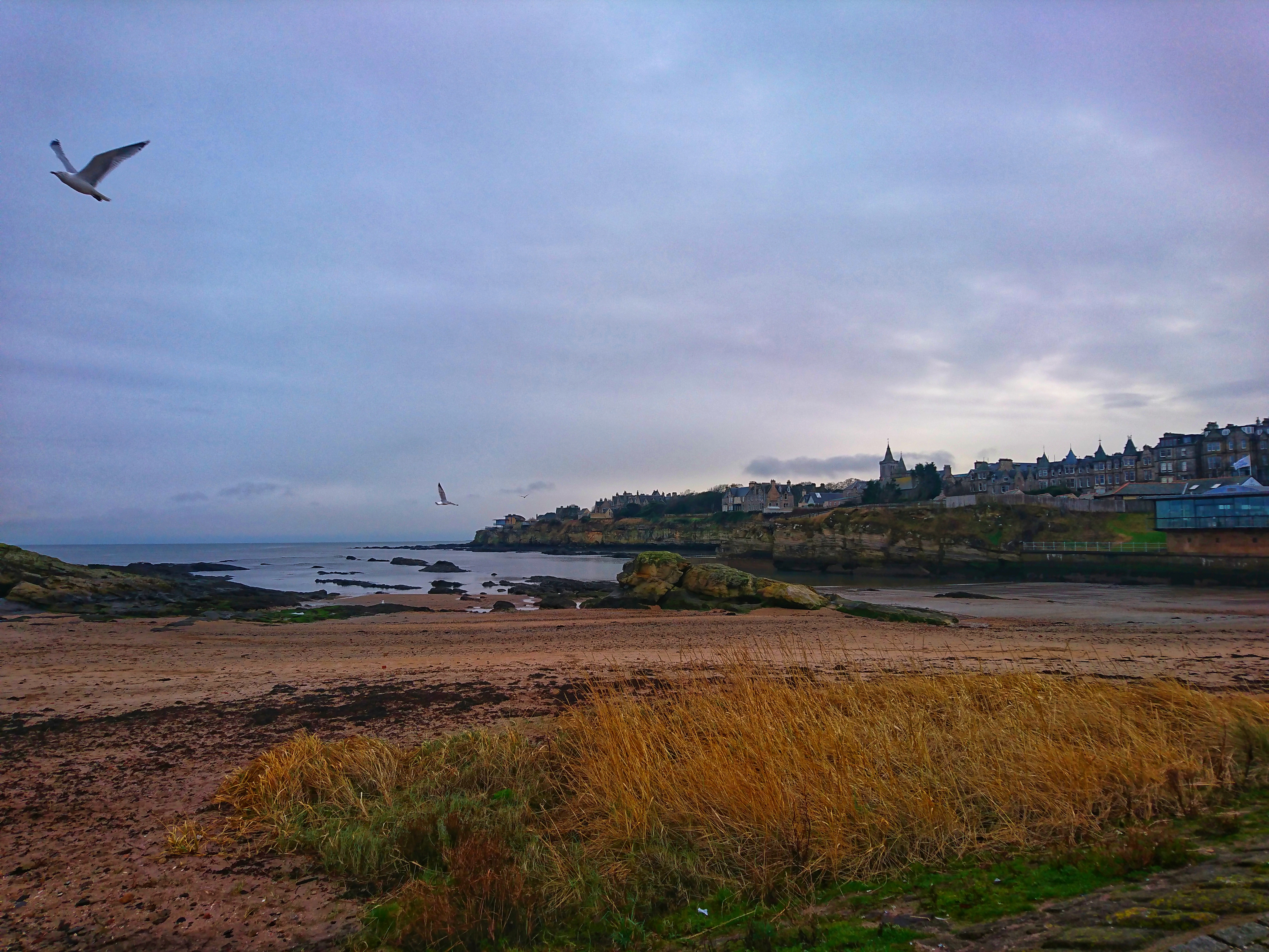 DSC_2498-01.jpeg