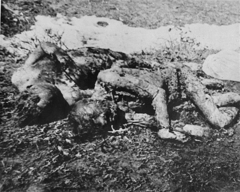 Niños masacrados en Jasenovac.jpg