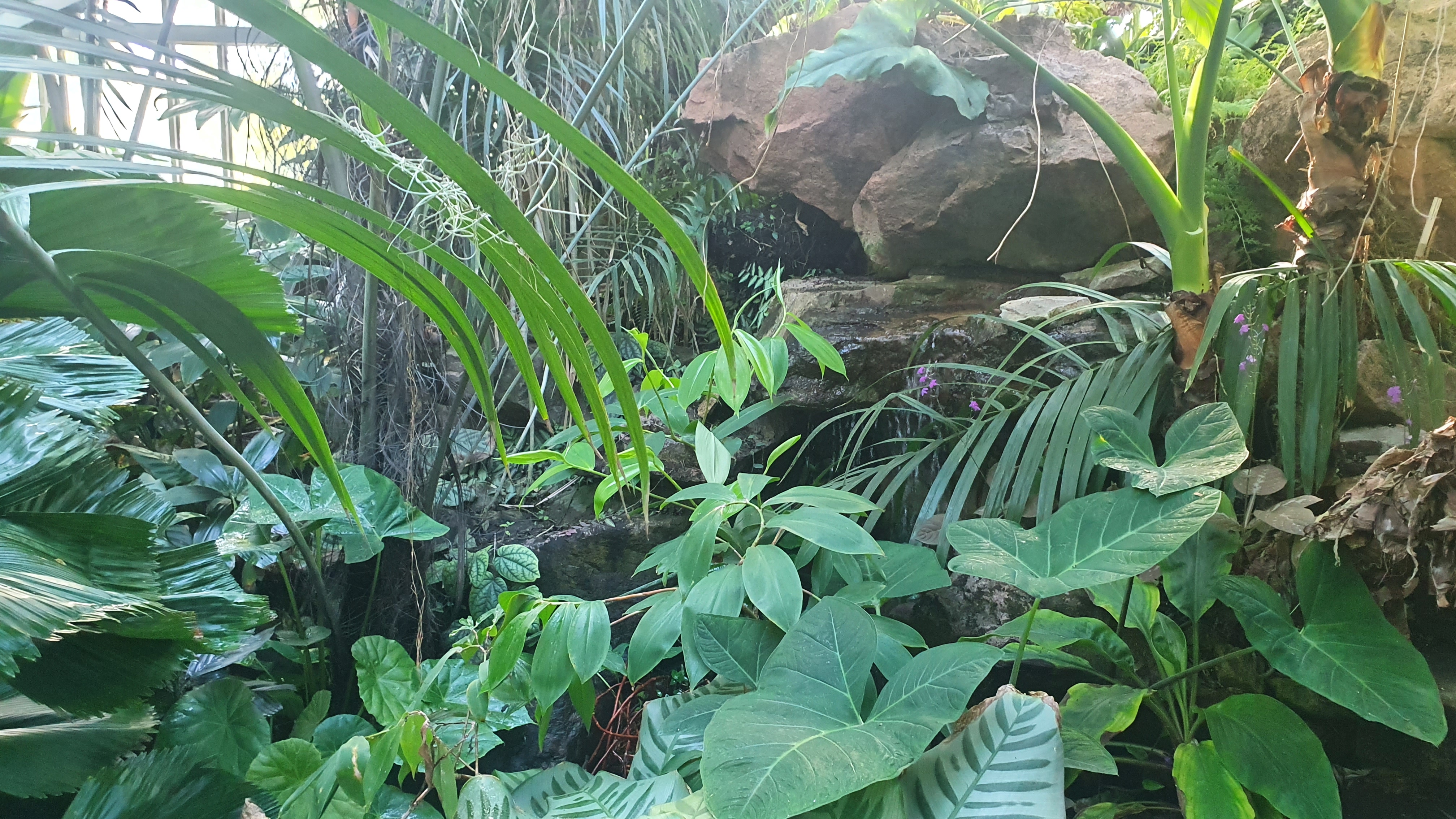 20220912_165538.jpg