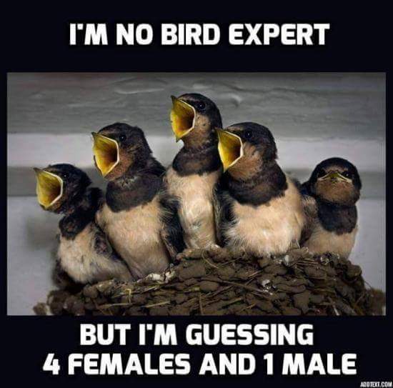 FB_IMG_1531823484150.jpg