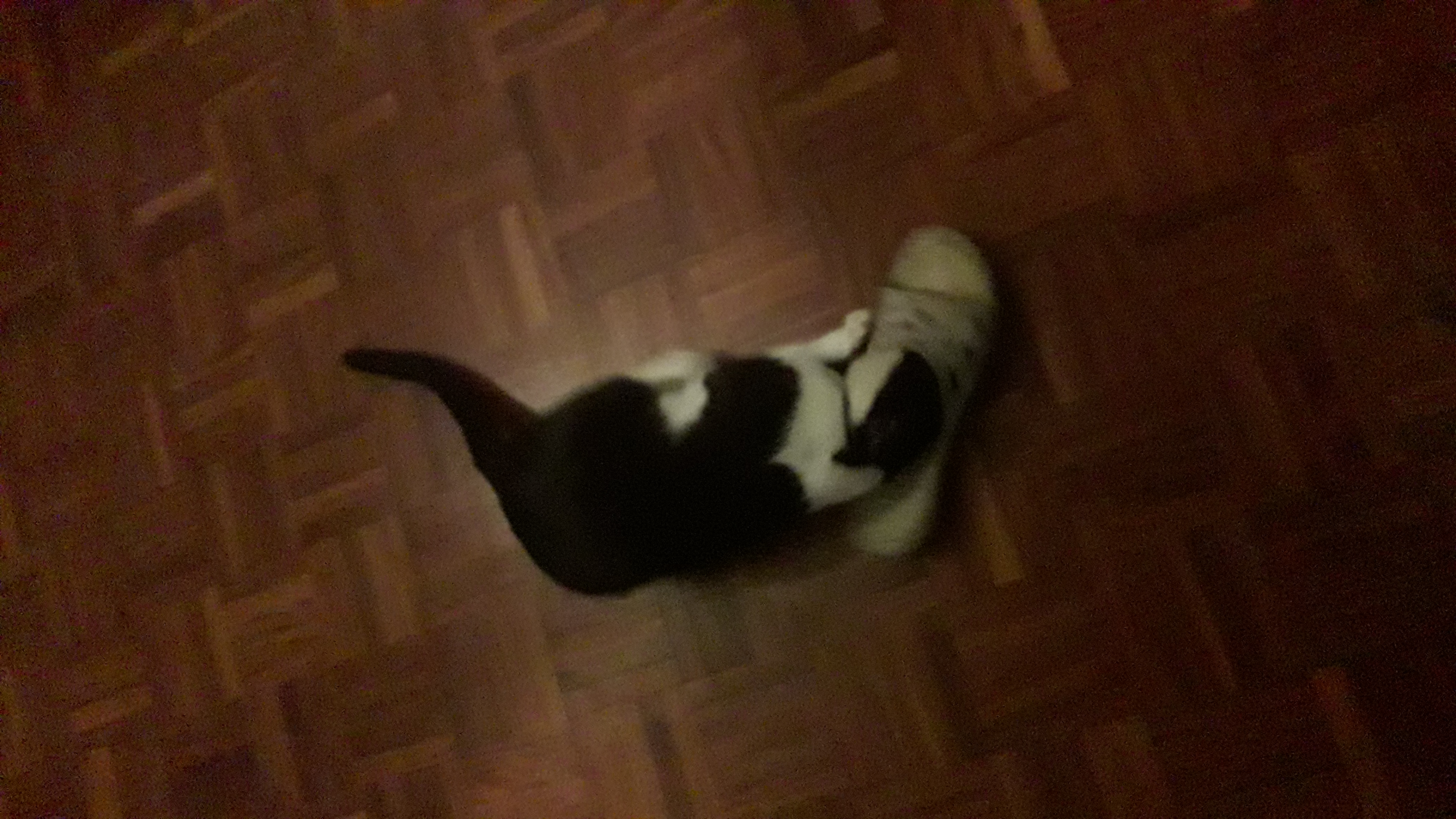 20200731_193911.jpg