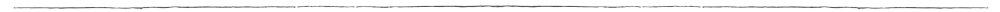 border_long.png