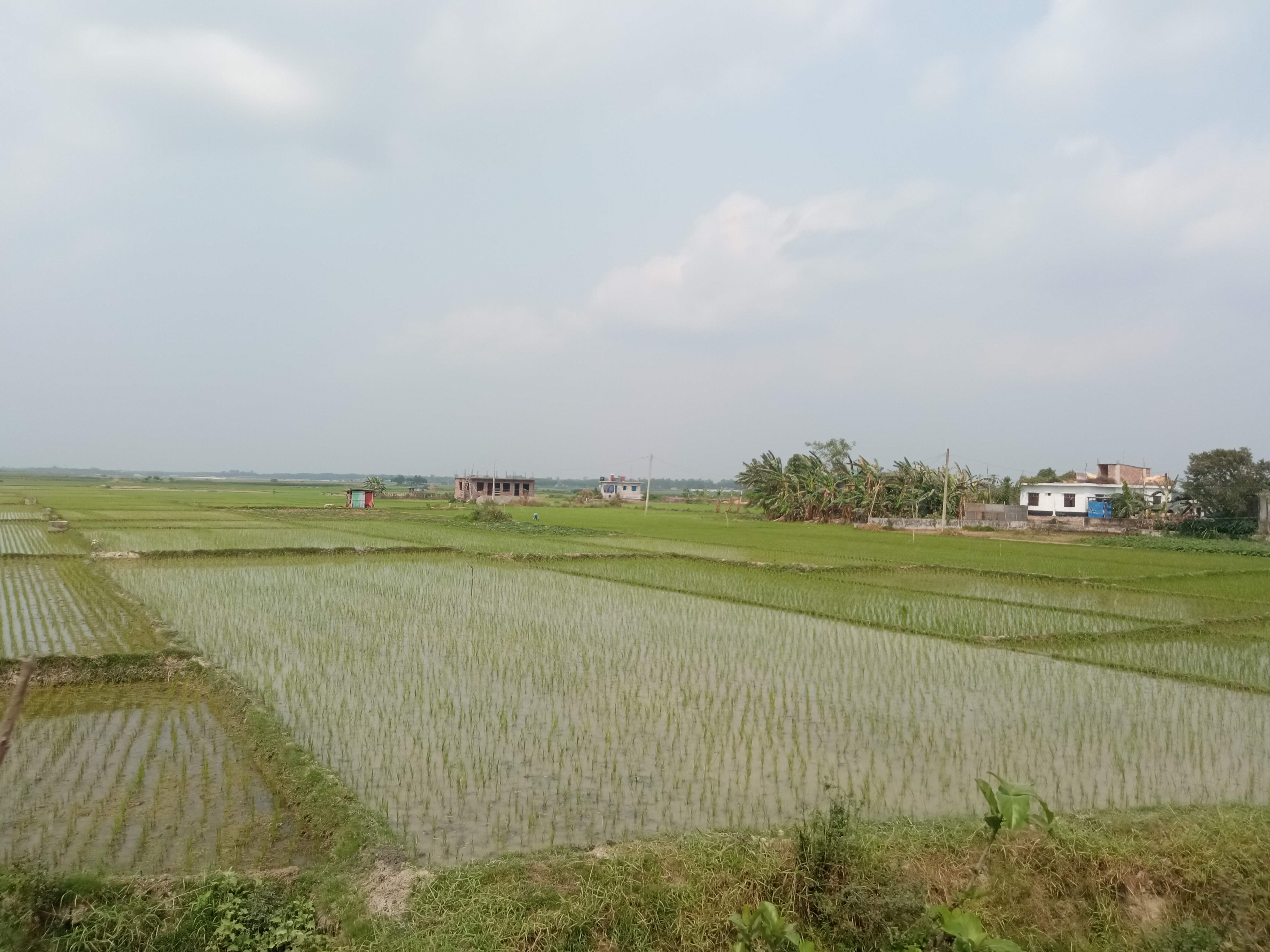 প্রকৃতি (3).jpg