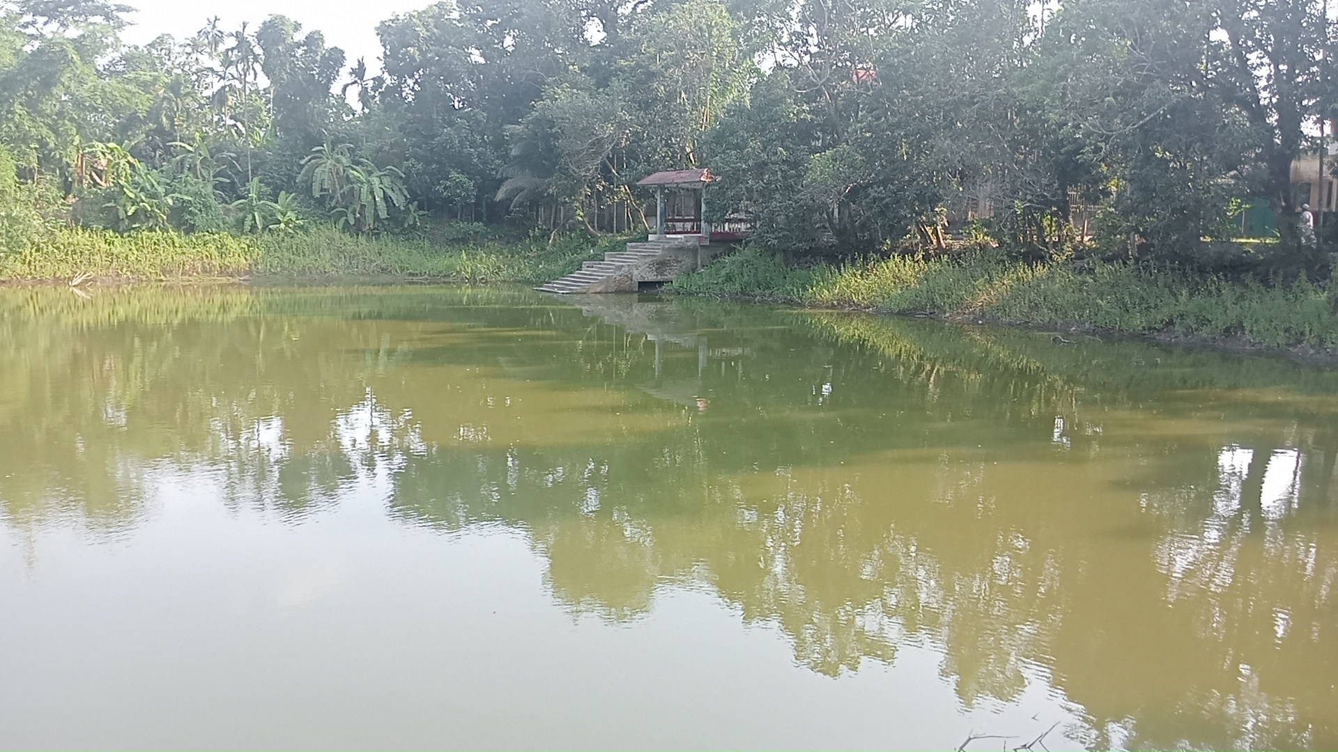 1000034722.jpg