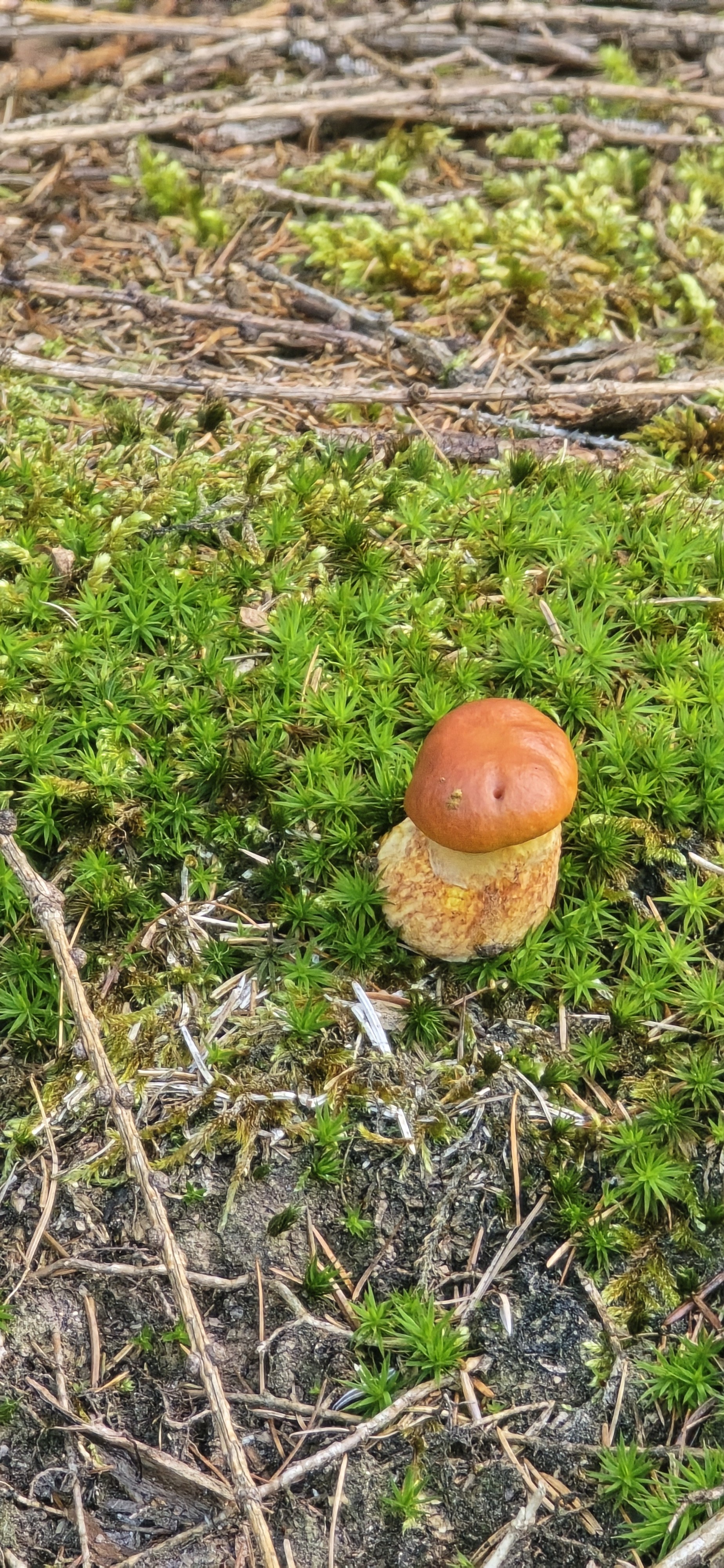 20250915_161901.jpg