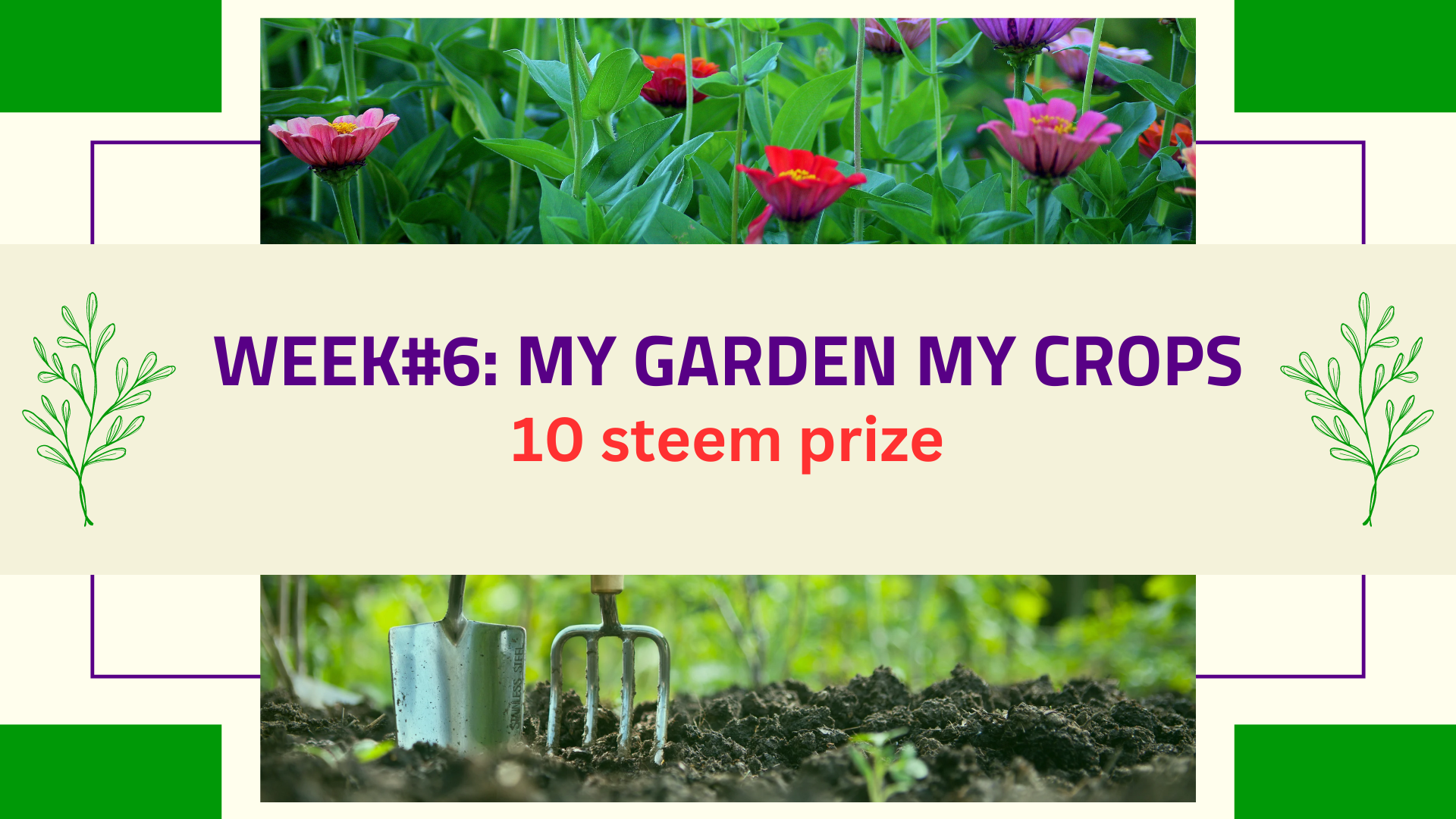 Contest my garden & ceops.png