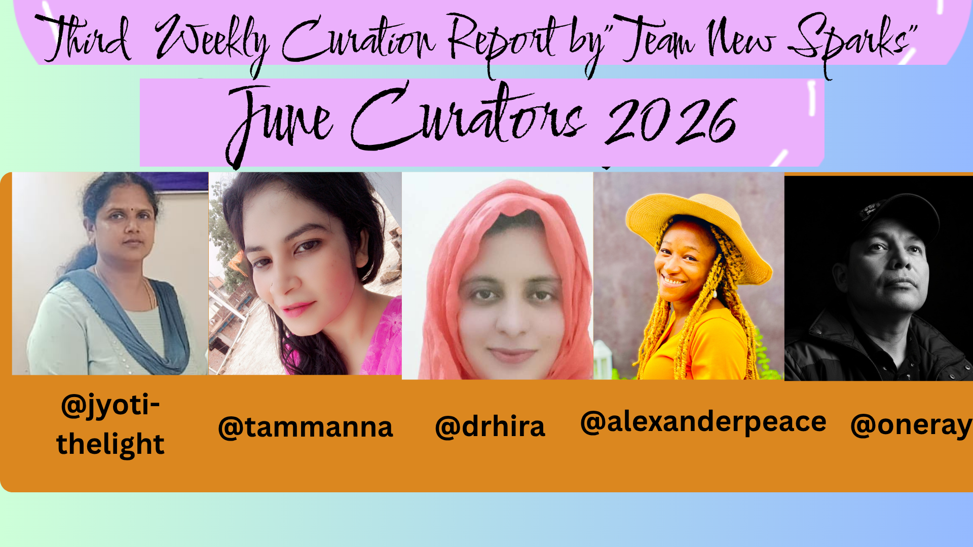 Newcomer curators report (8).png