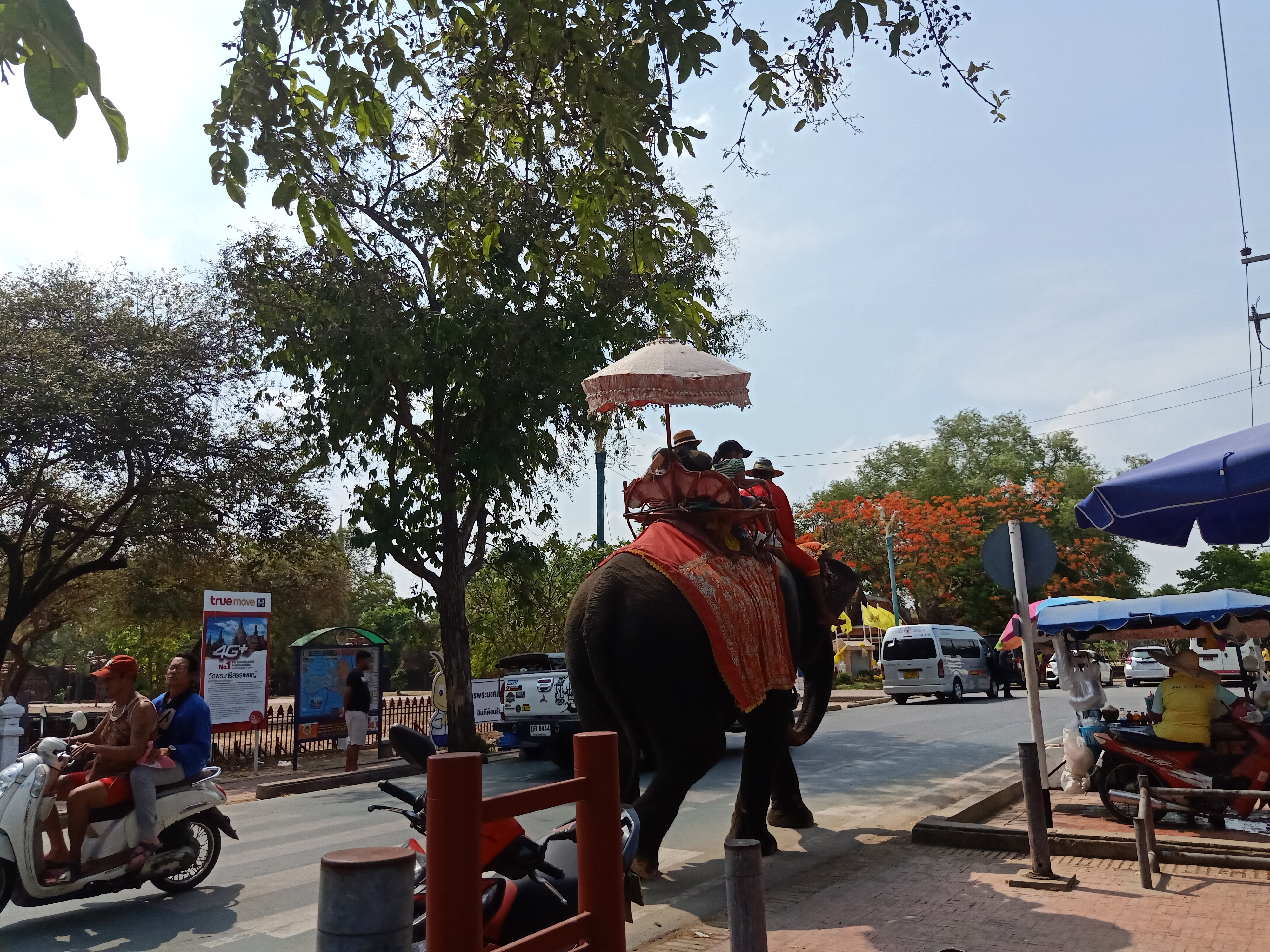 IMG20190506142841.jpg