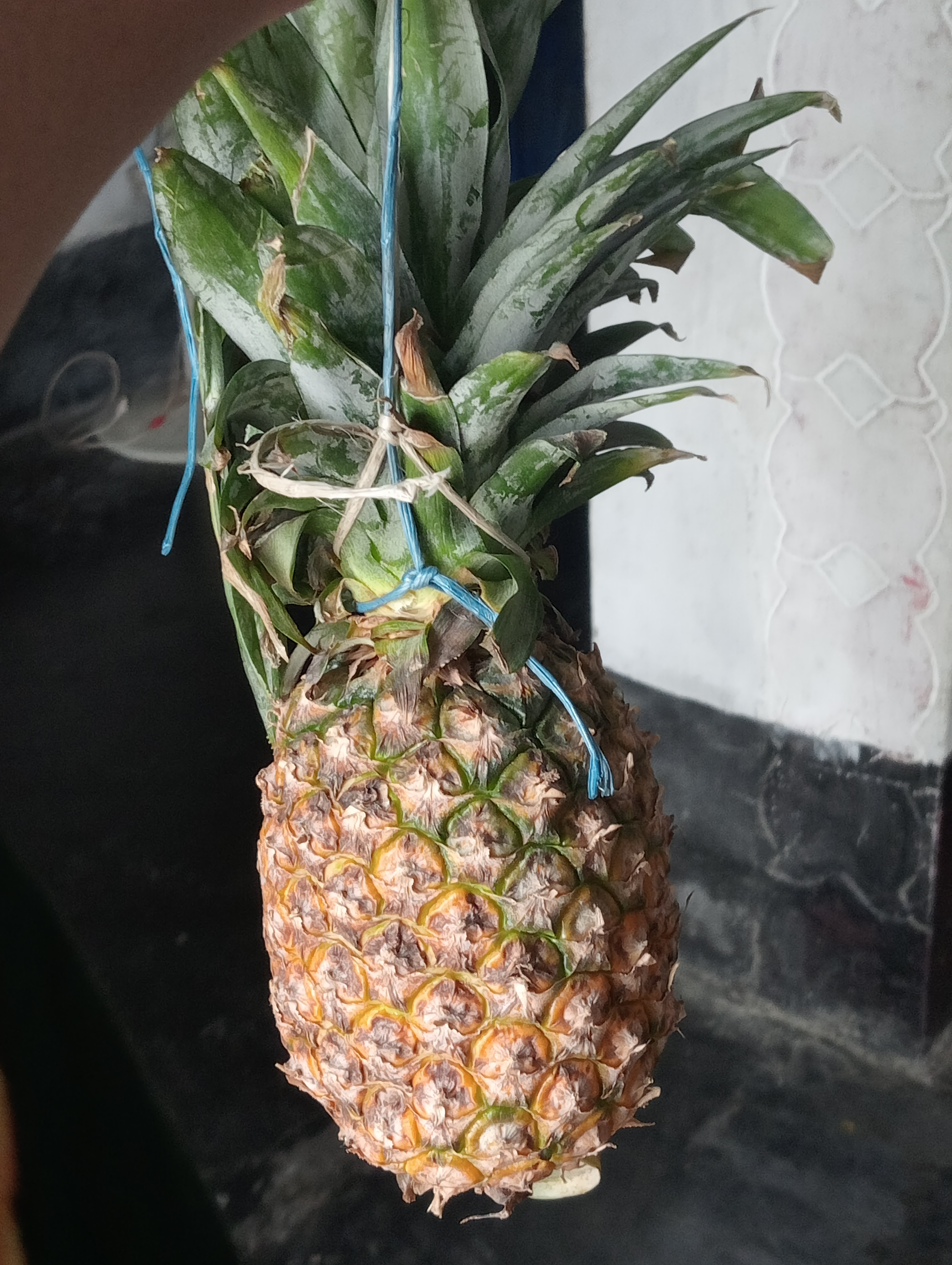 IMG20240627112052.jpg