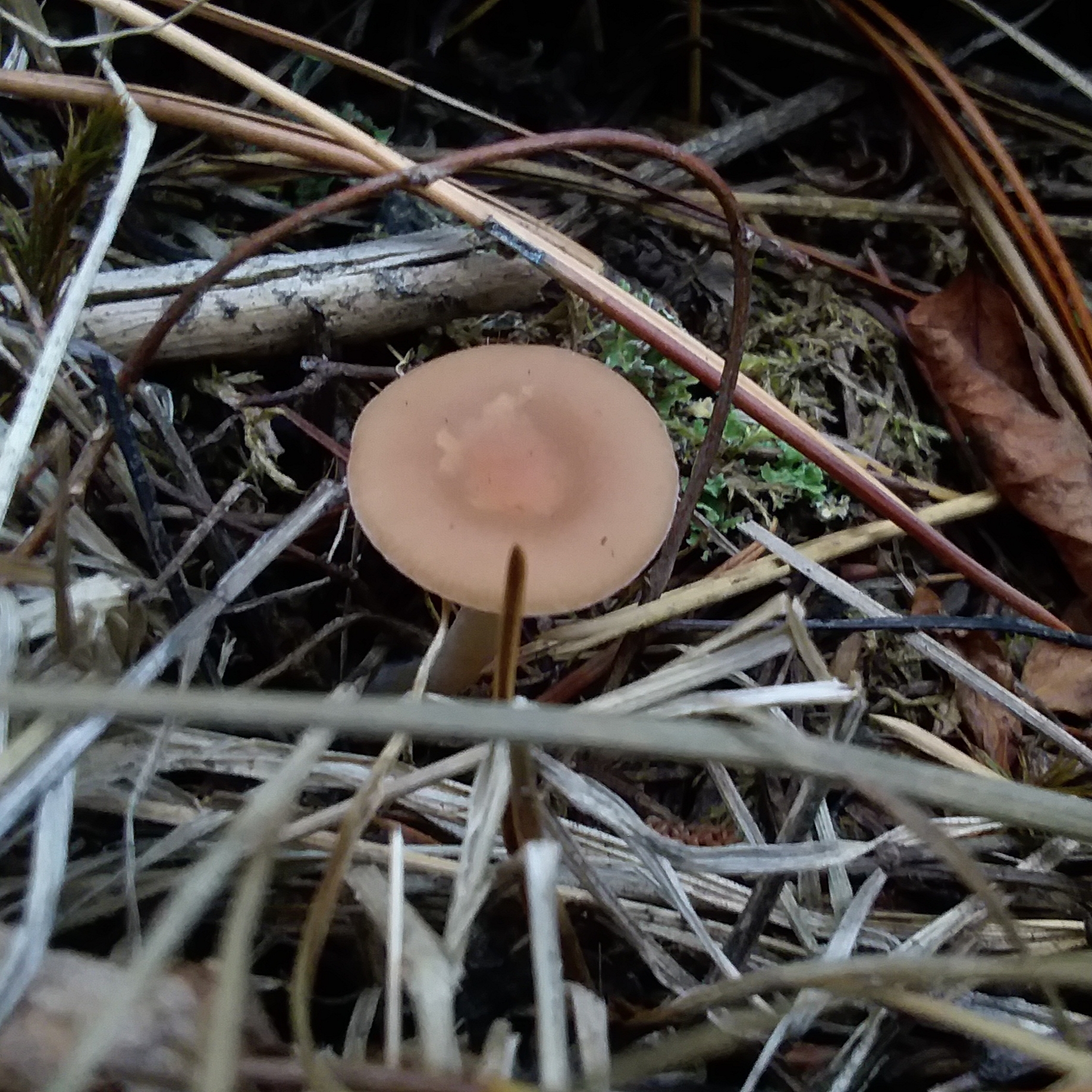 20190922_181348.jpg