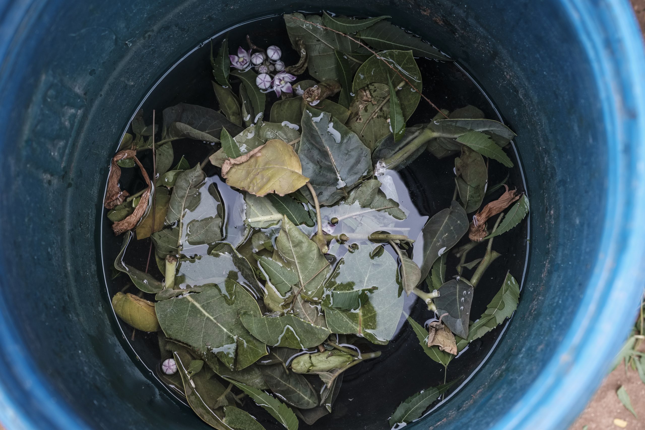 f_lang_bci_india_gujarat_vinodbhai_patel_high_res-149-2560x1707.jpeg