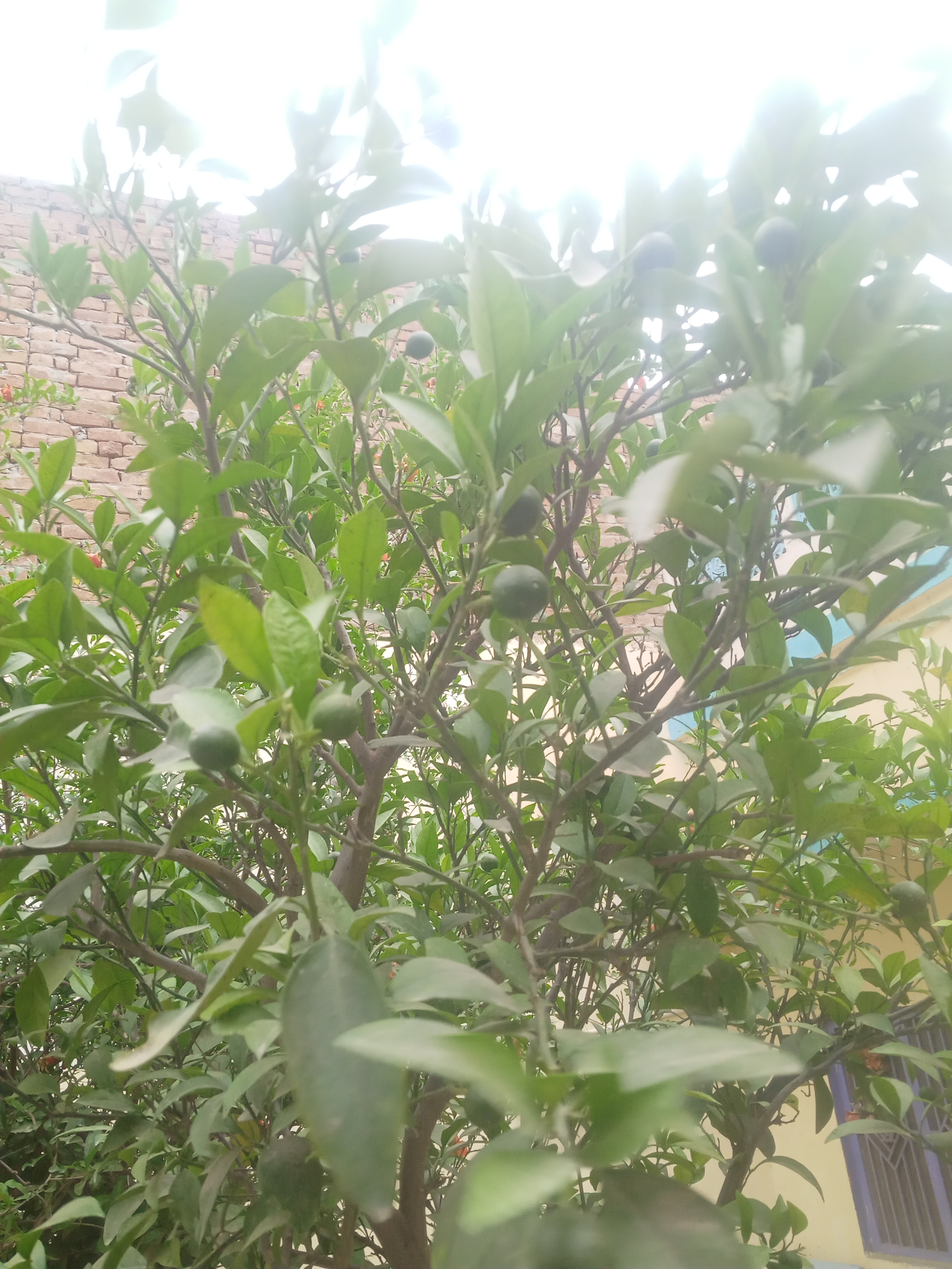 IMG20210415073155.jpg