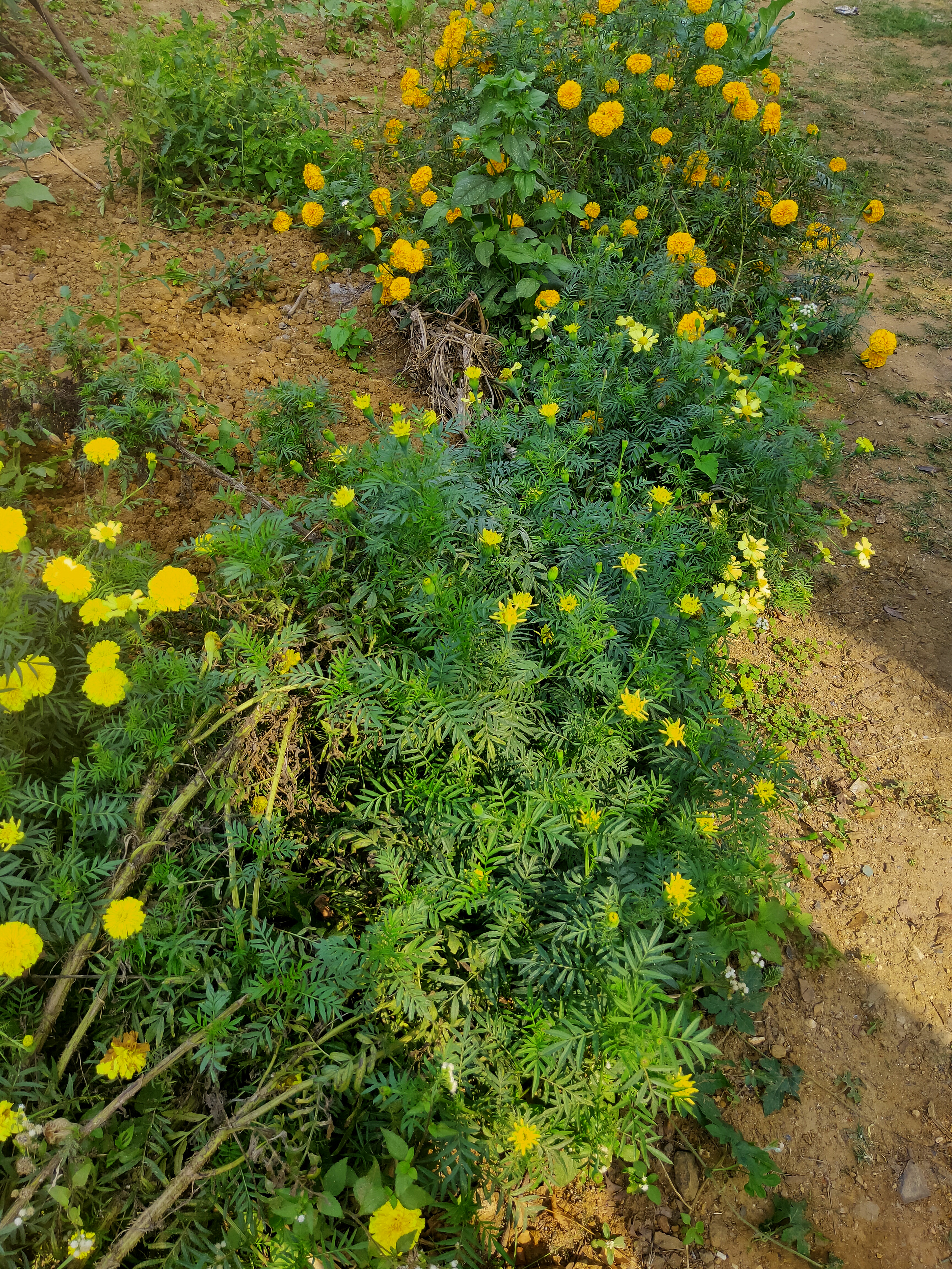 IMG20211128101624.jpg