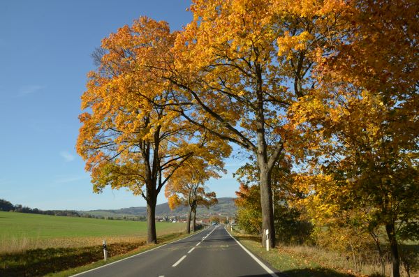 landstrasse.JPG