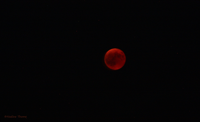 IMG_6300.JPG
