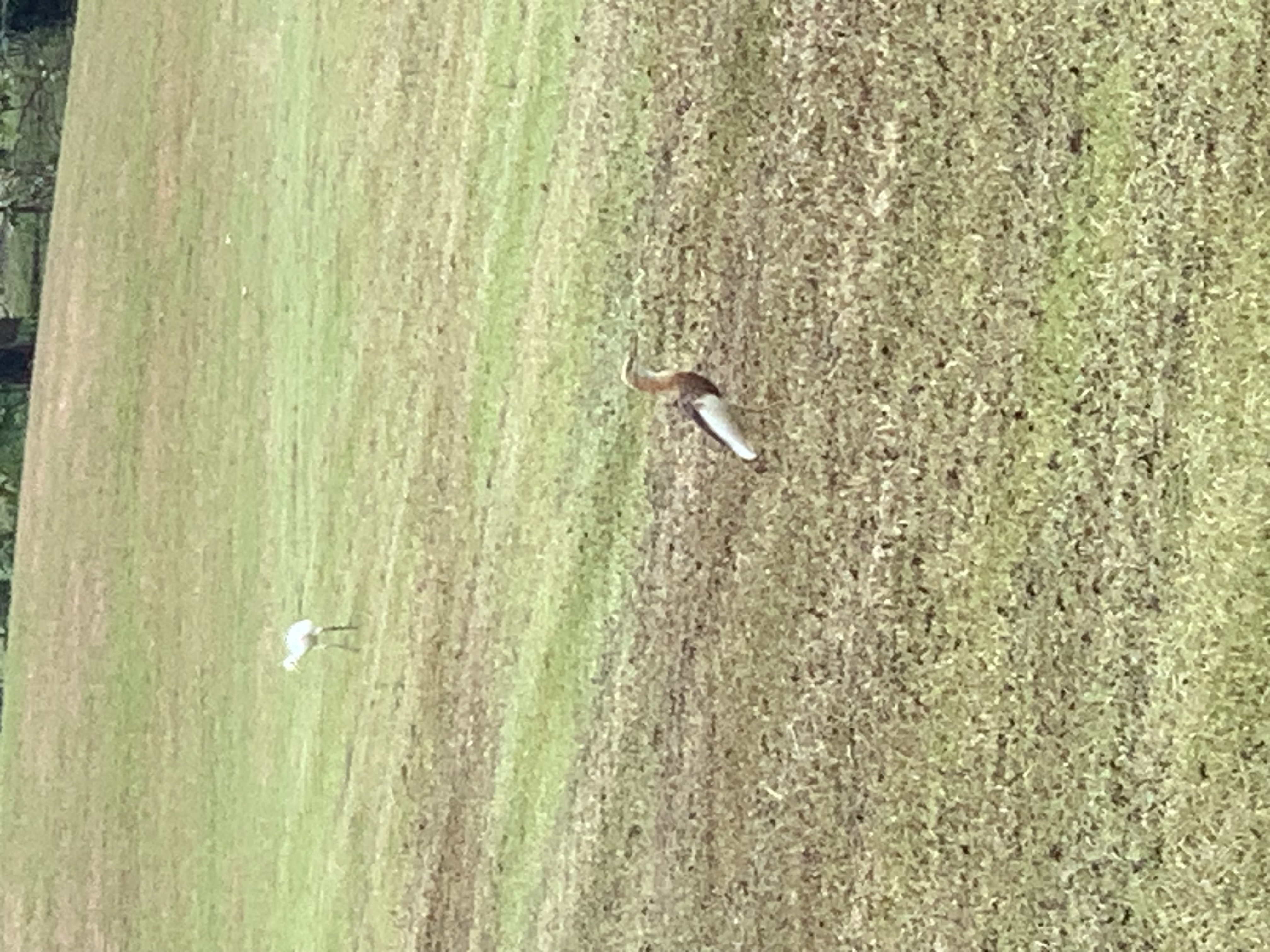 birdwatching spots26.jpg