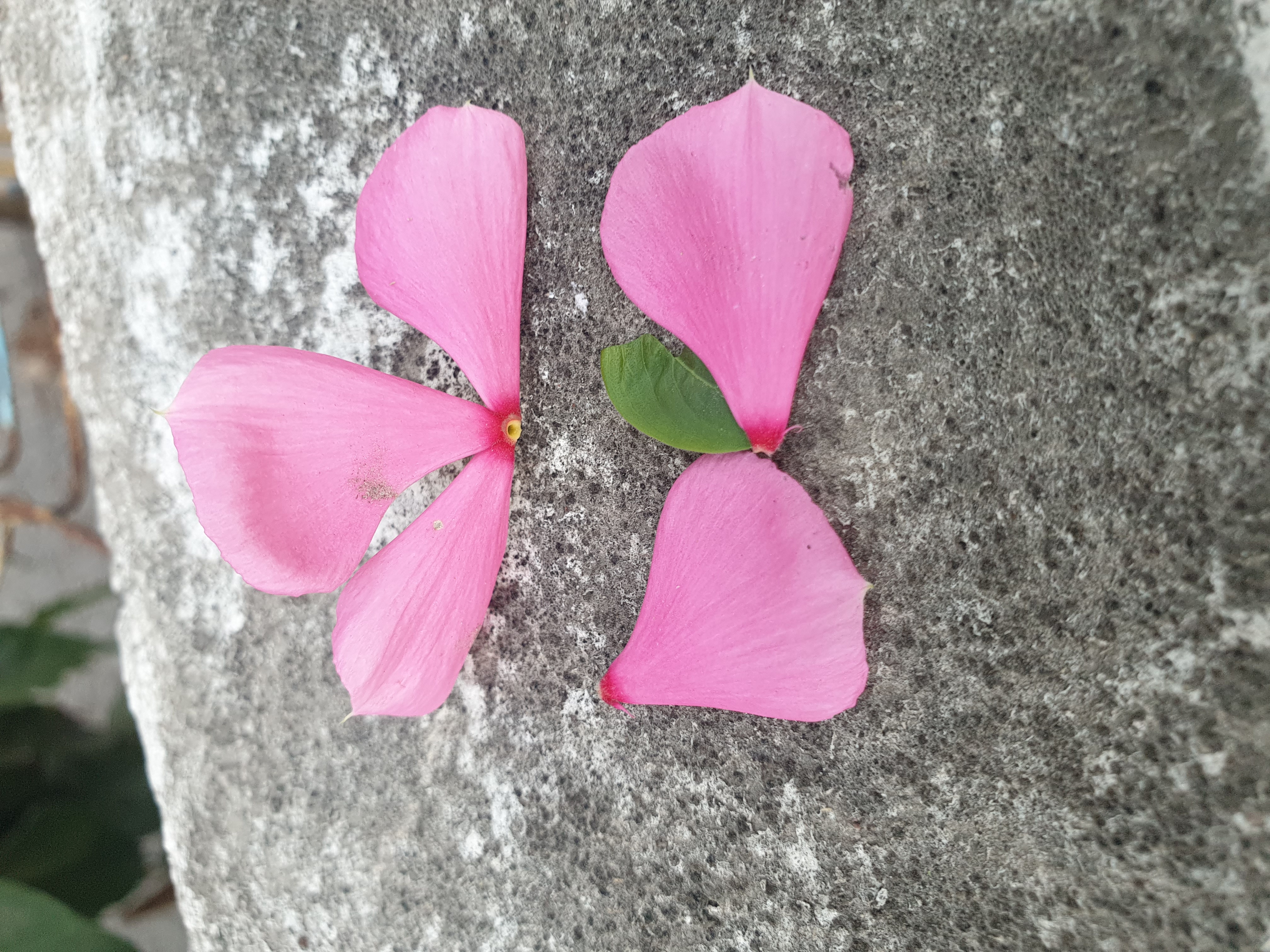 20210321_173241.jpg