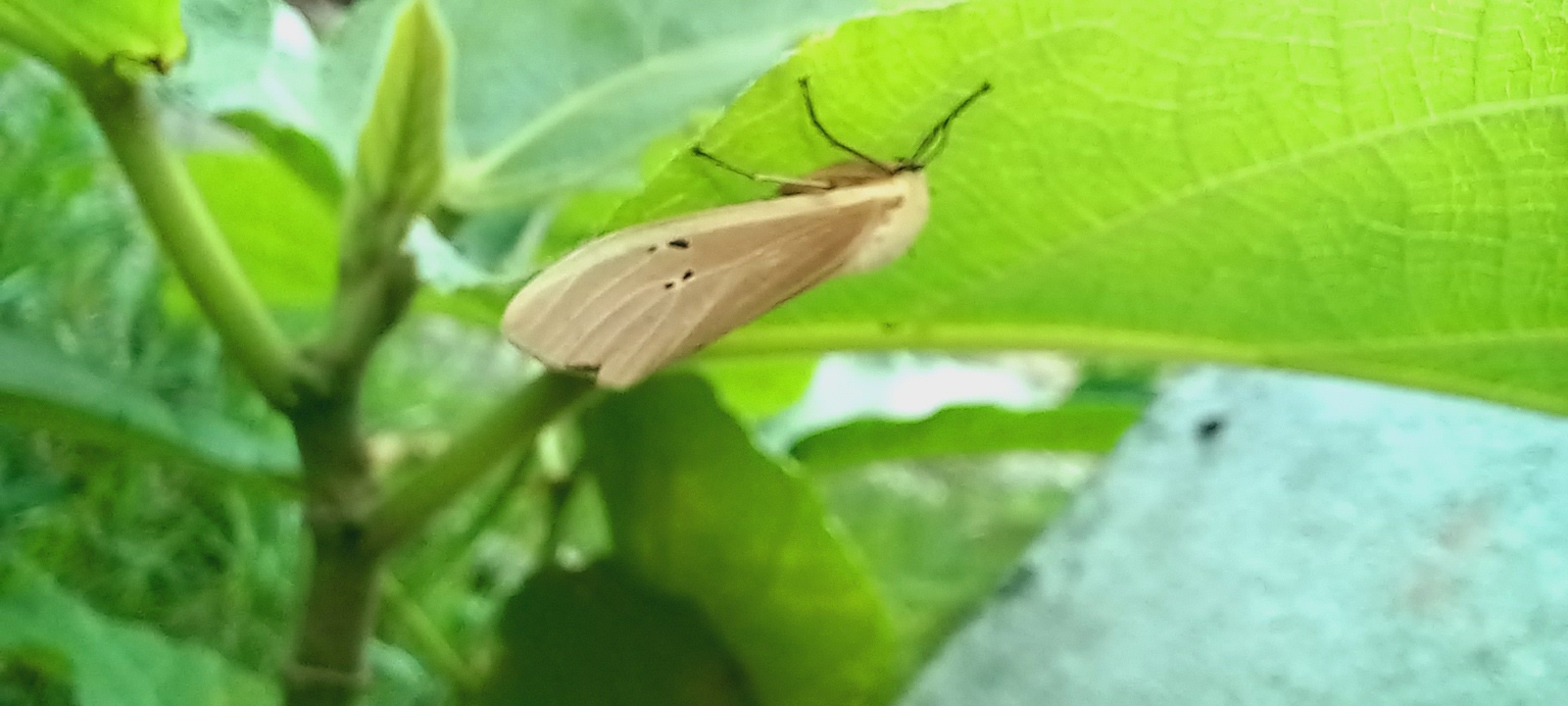 20250718_152809.jpg