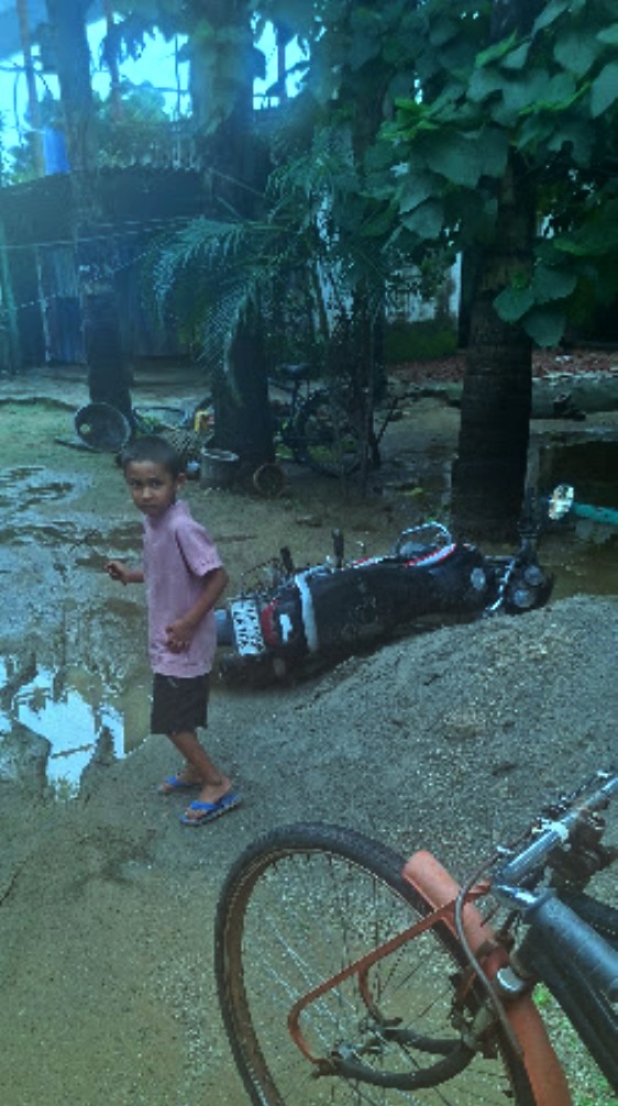 20260811_144609.jpg