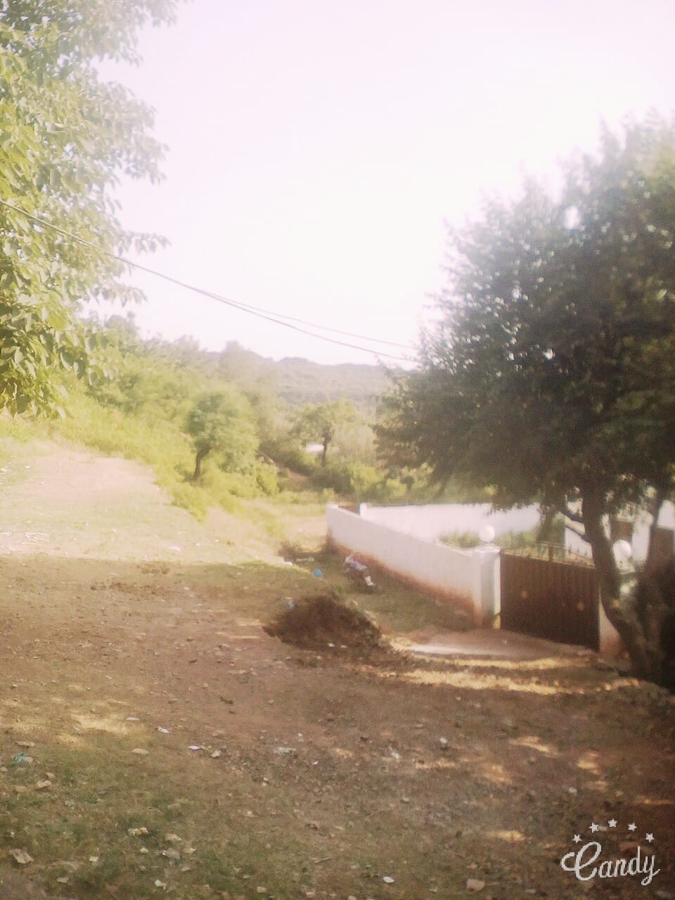 IMG-20210531-WA0095.jpg