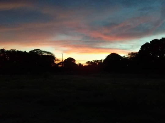 Screenshot_20210414-210755-1.jpg