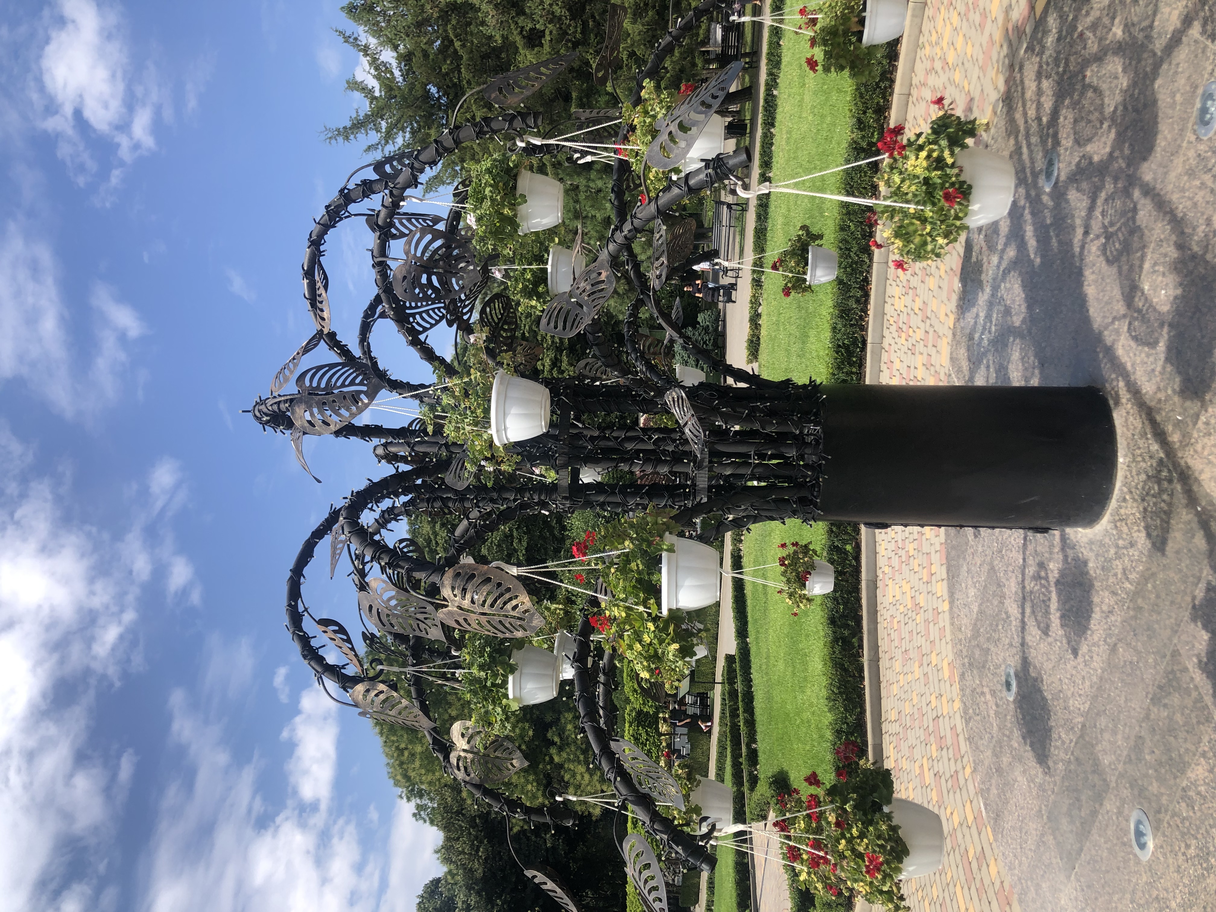 IMG_2541.jpeg