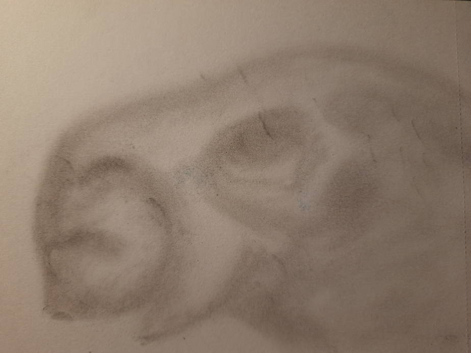 20260722_103614.jpg