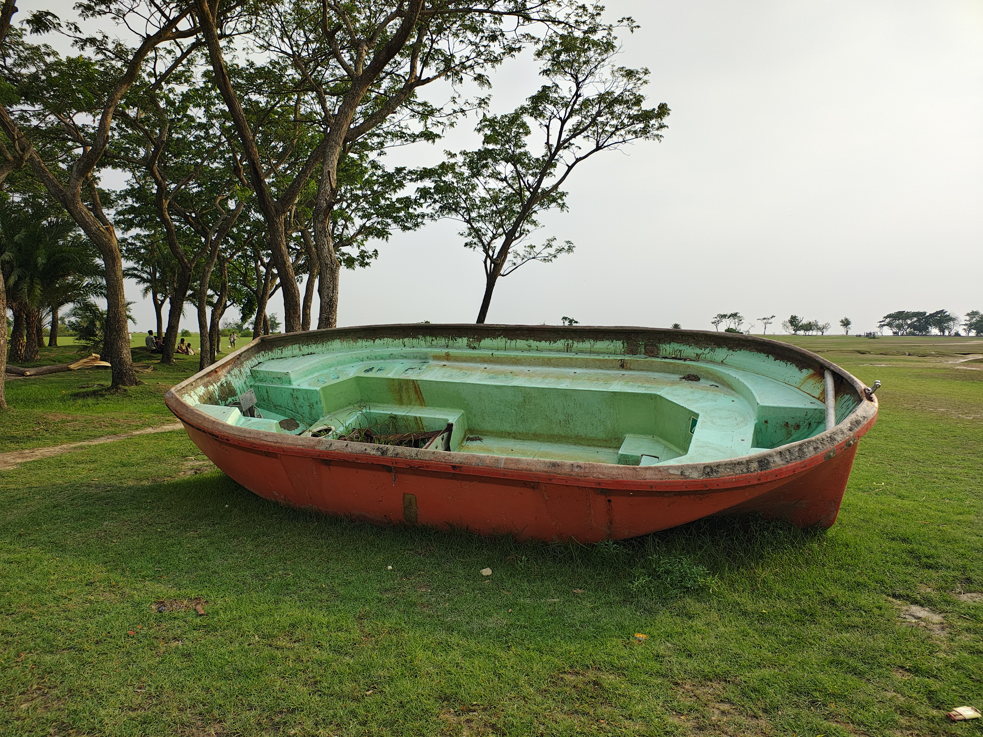 1000066466.jpg