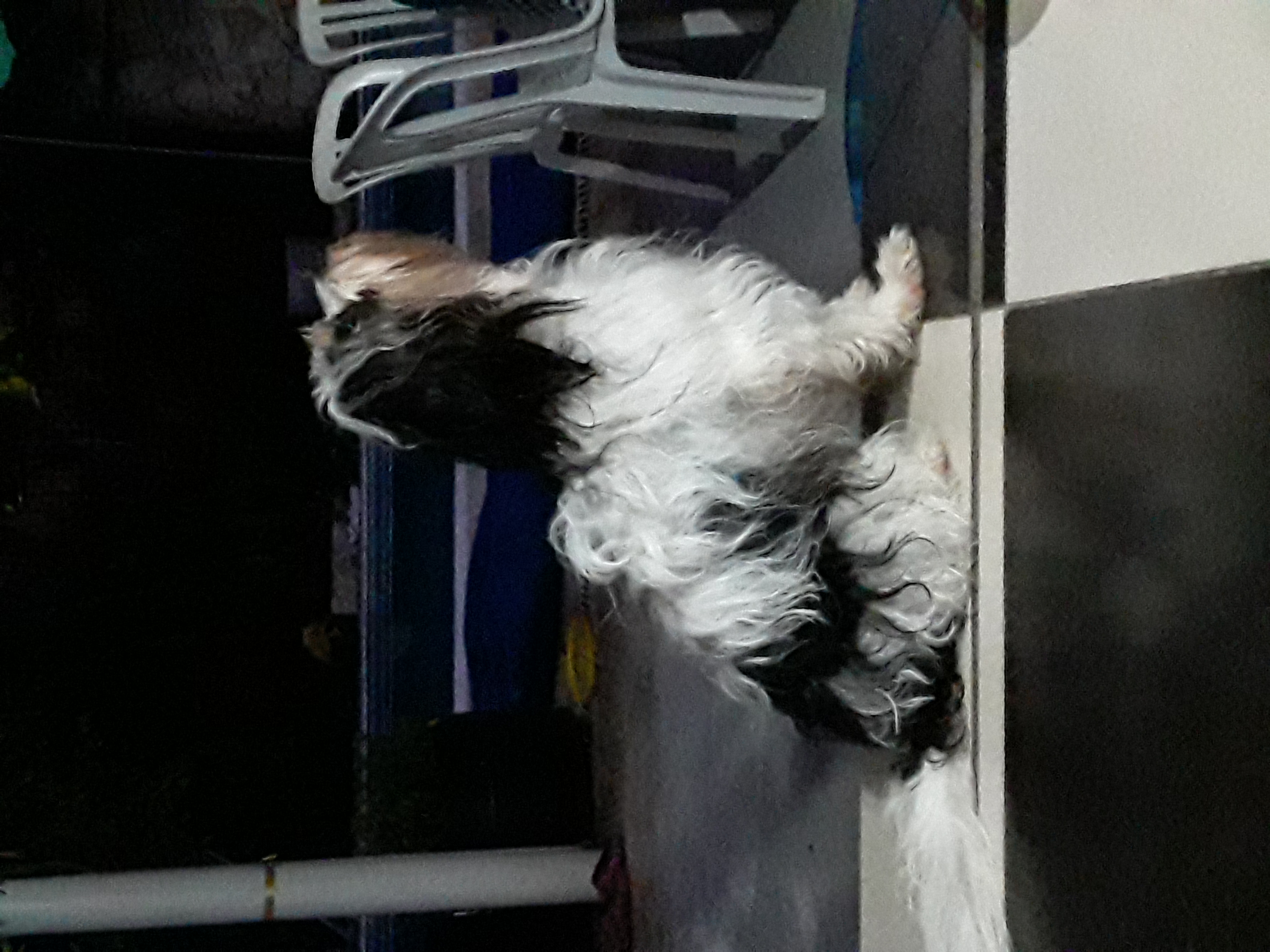 20200311_184511.jpg