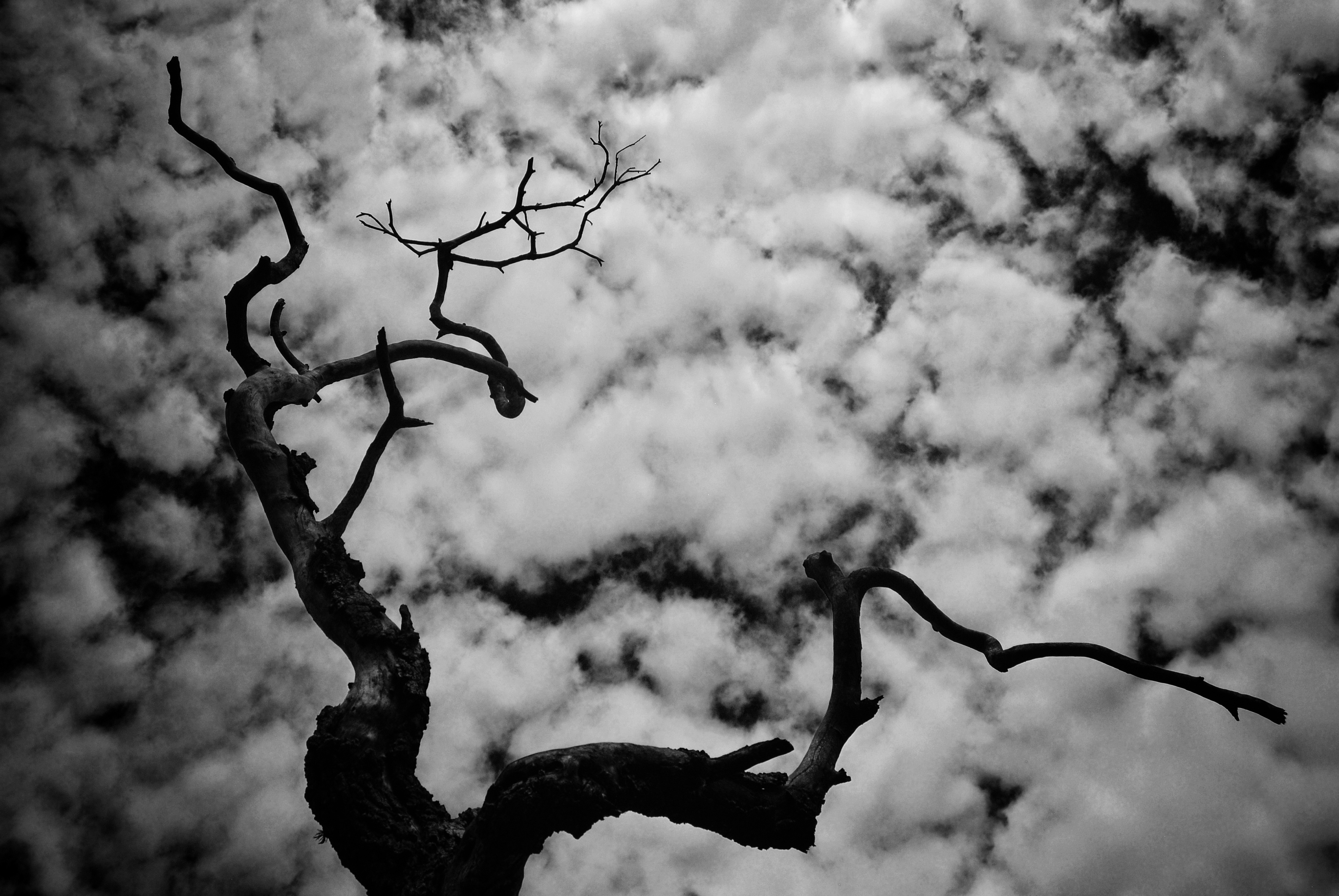 DSC_0214-01-01.jpeg
