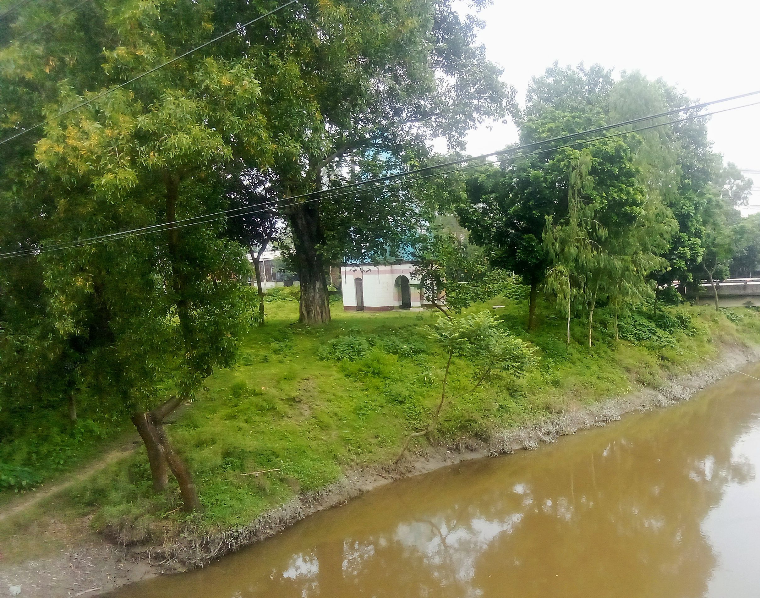 IMG_20260717_101435.jpg