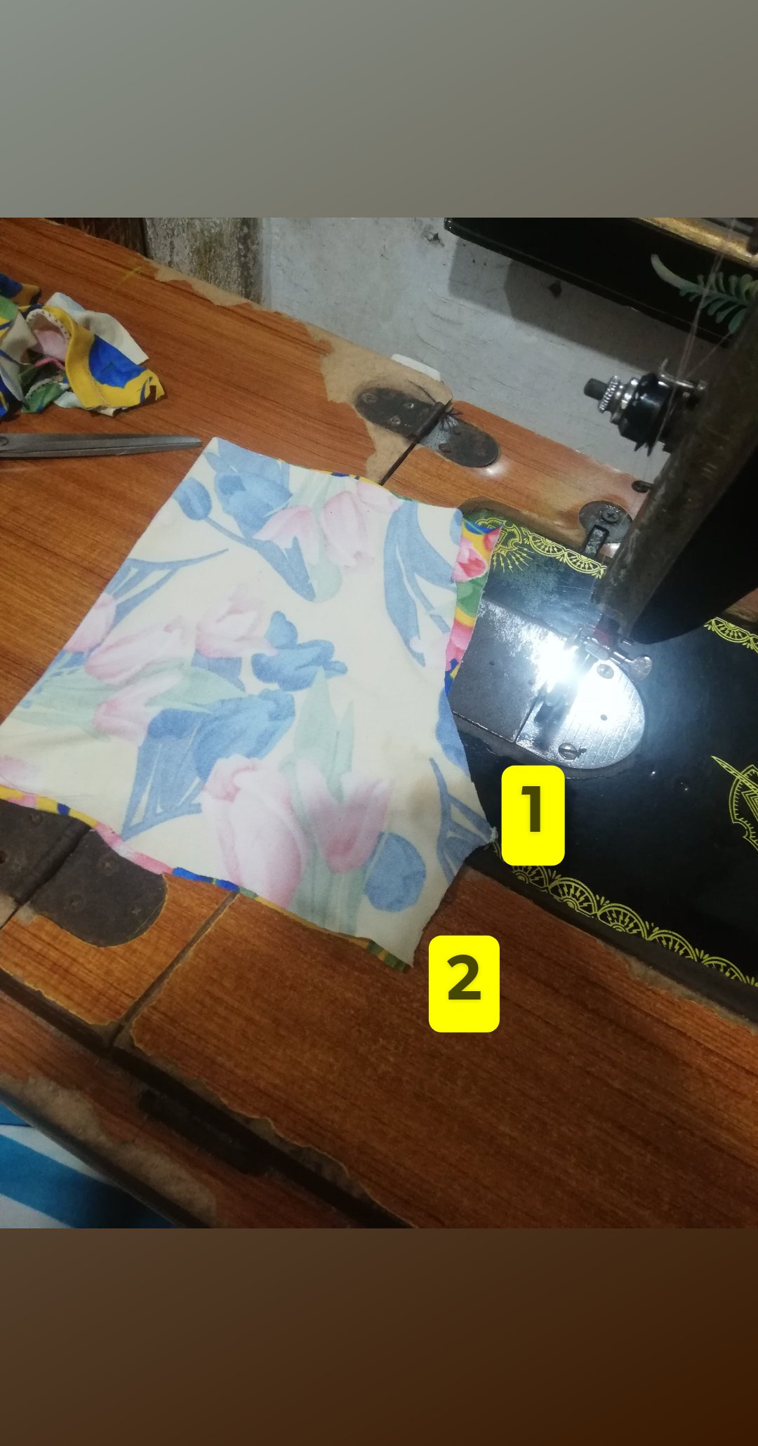 USER_SCOPED_TEMP_DATA_orca-image-2108401854.jpeg