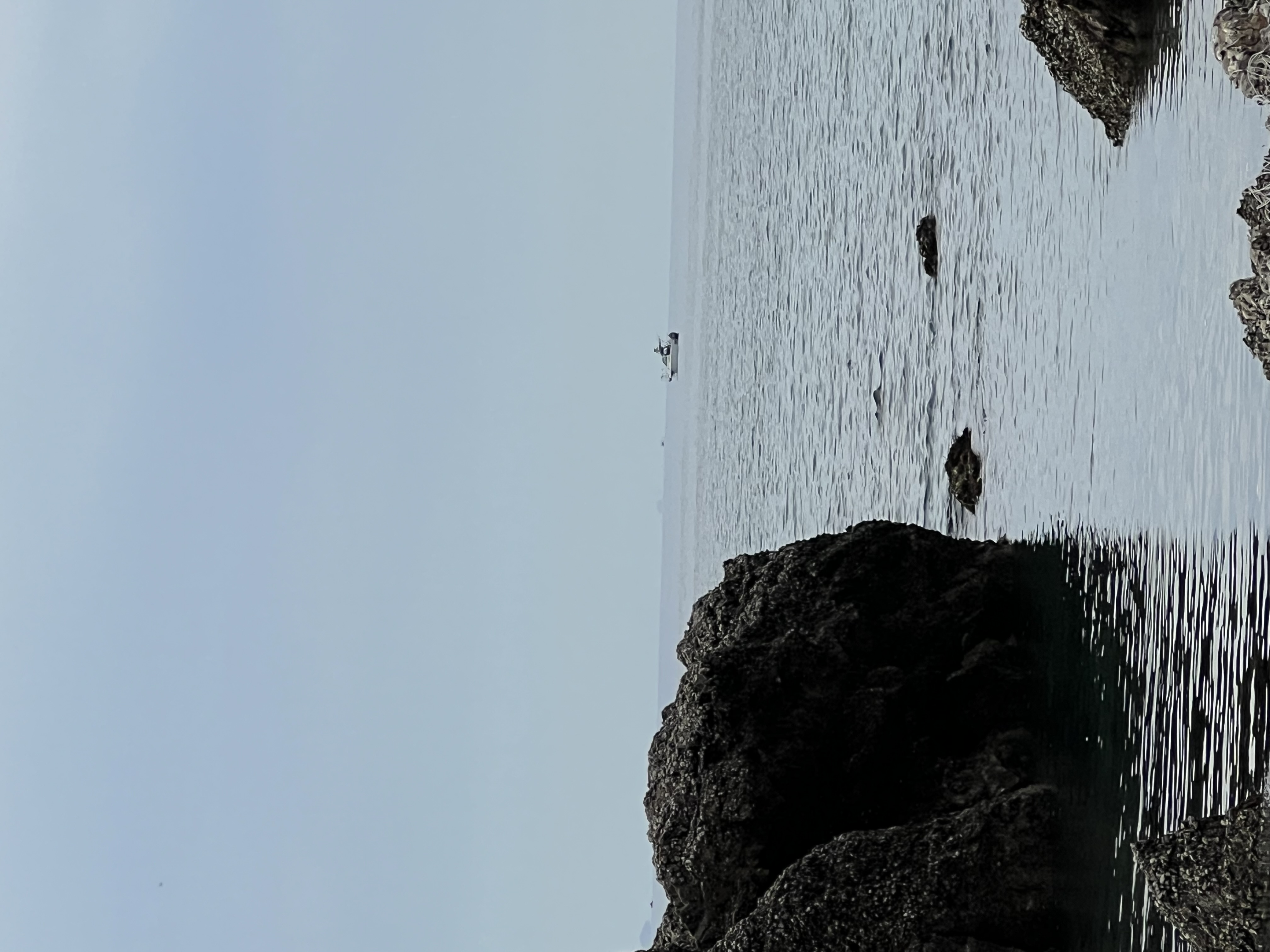 IMG_5411.jpeg