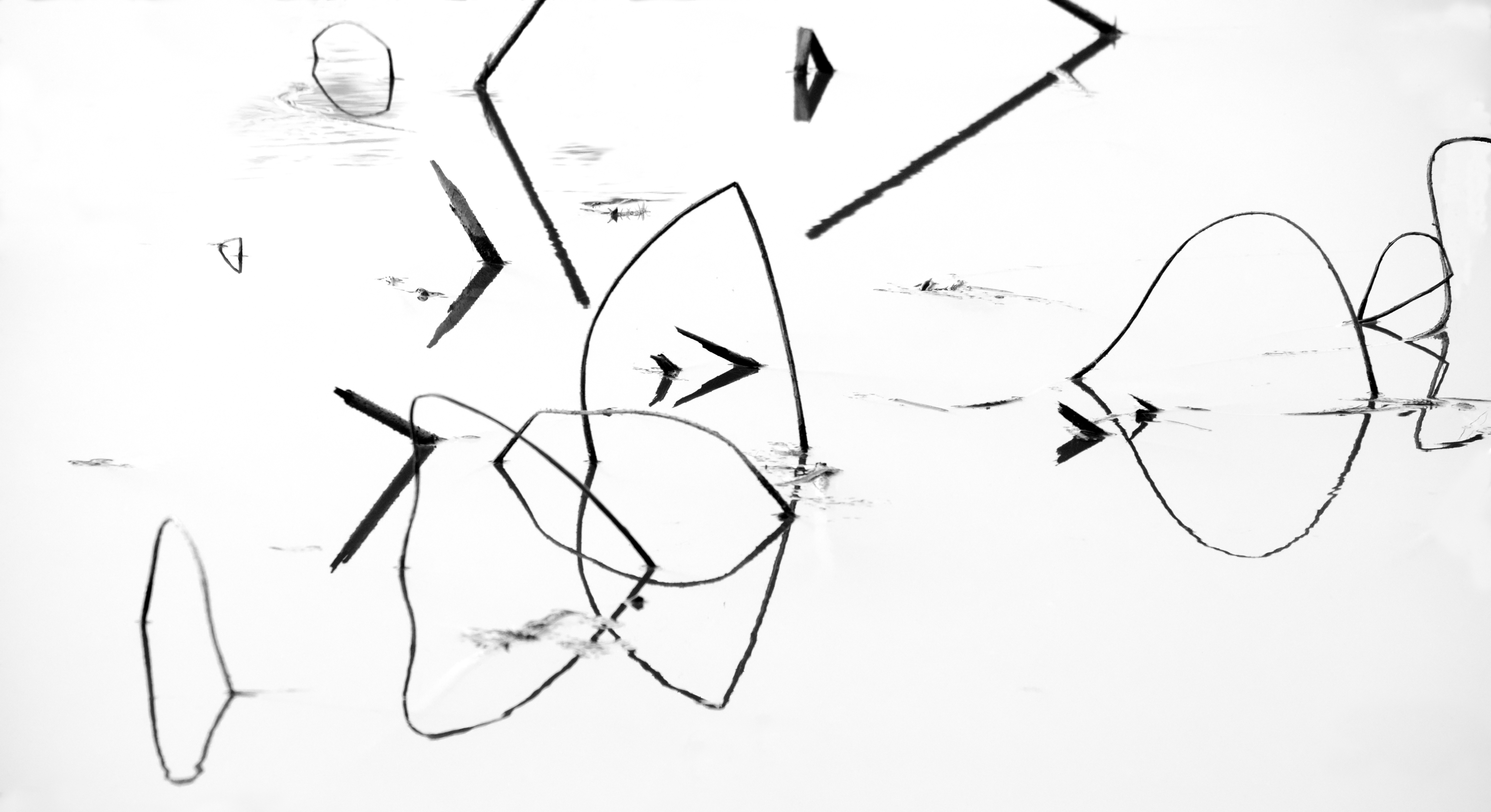 _DSF3776_XGA.jpg