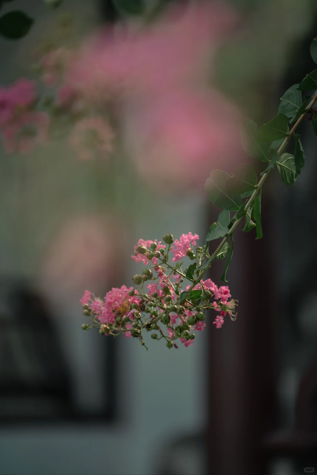 84.webp