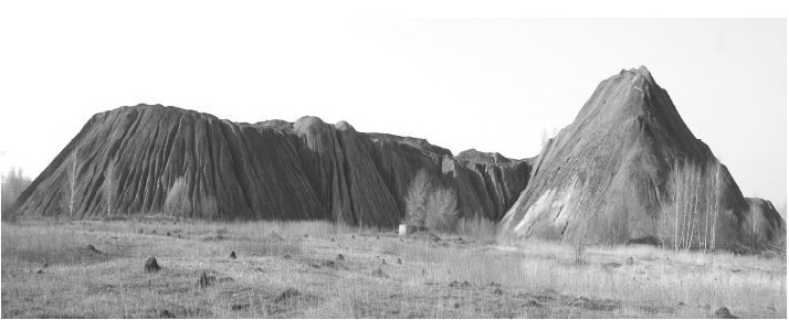 photo 28.jpg