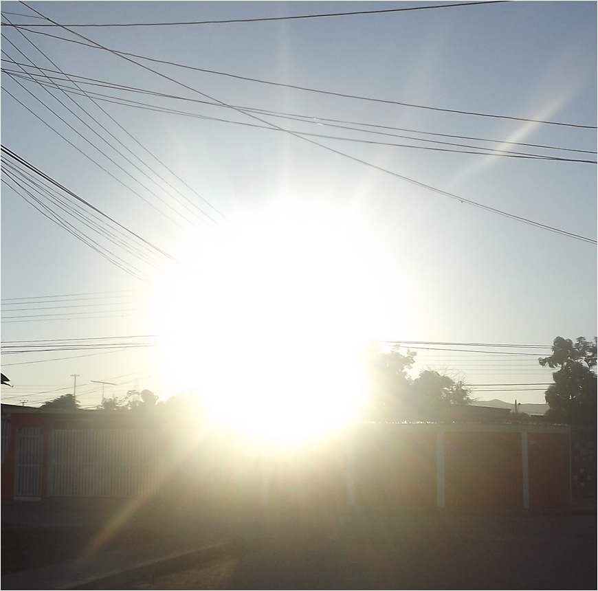 mi sol.png