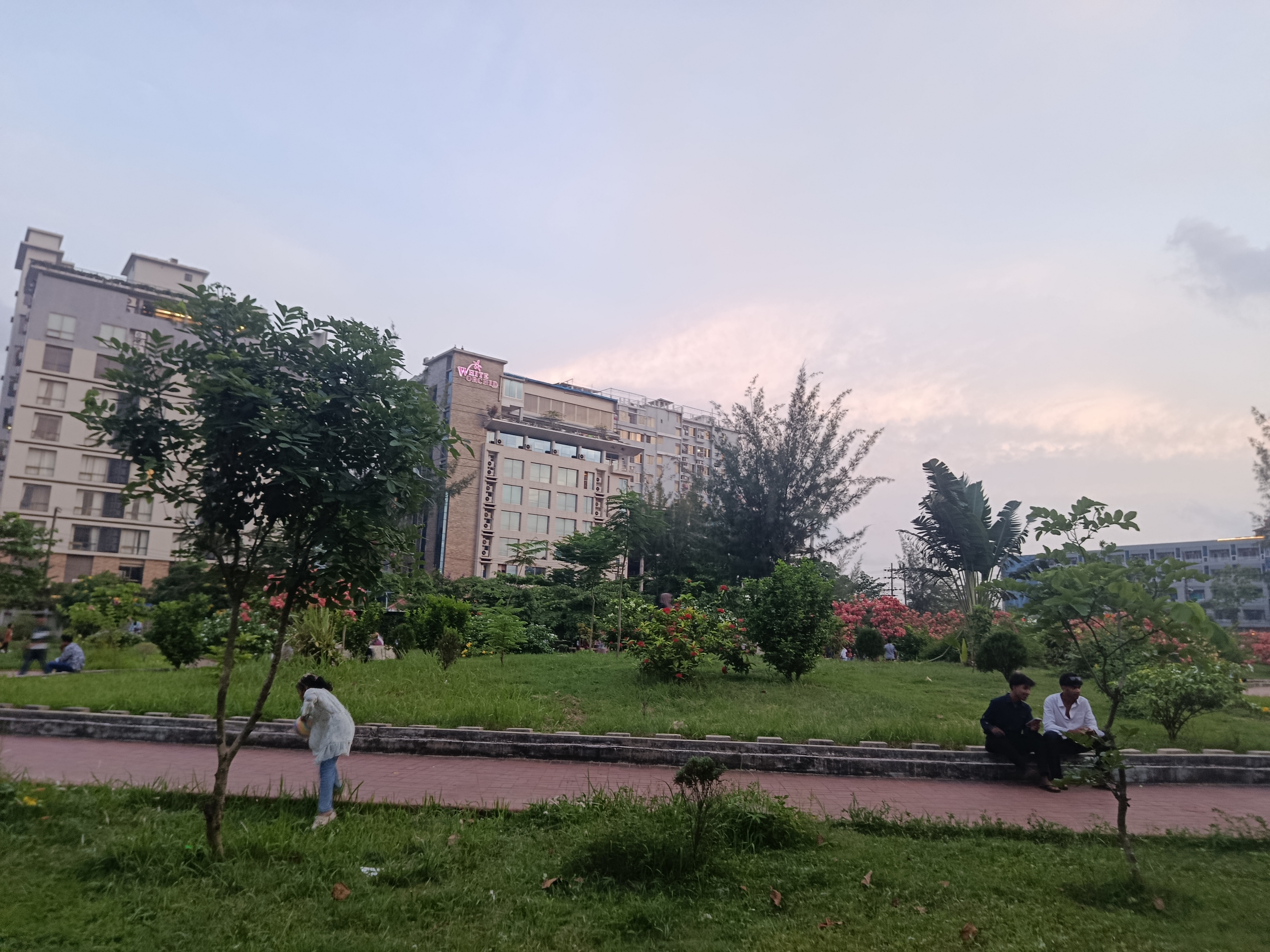IMG_20260601_182737.jpg