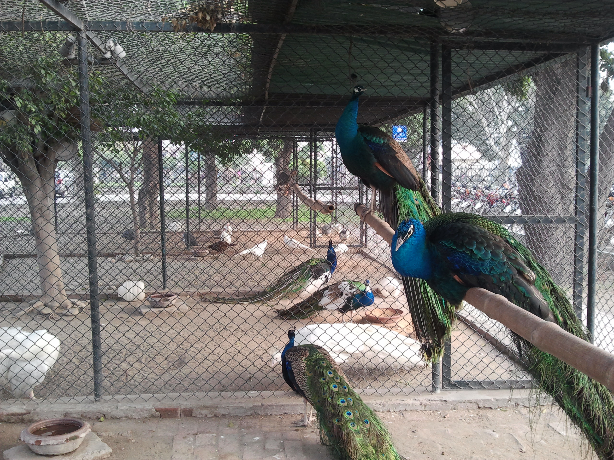 2015-02-07 15.51.22.jpg