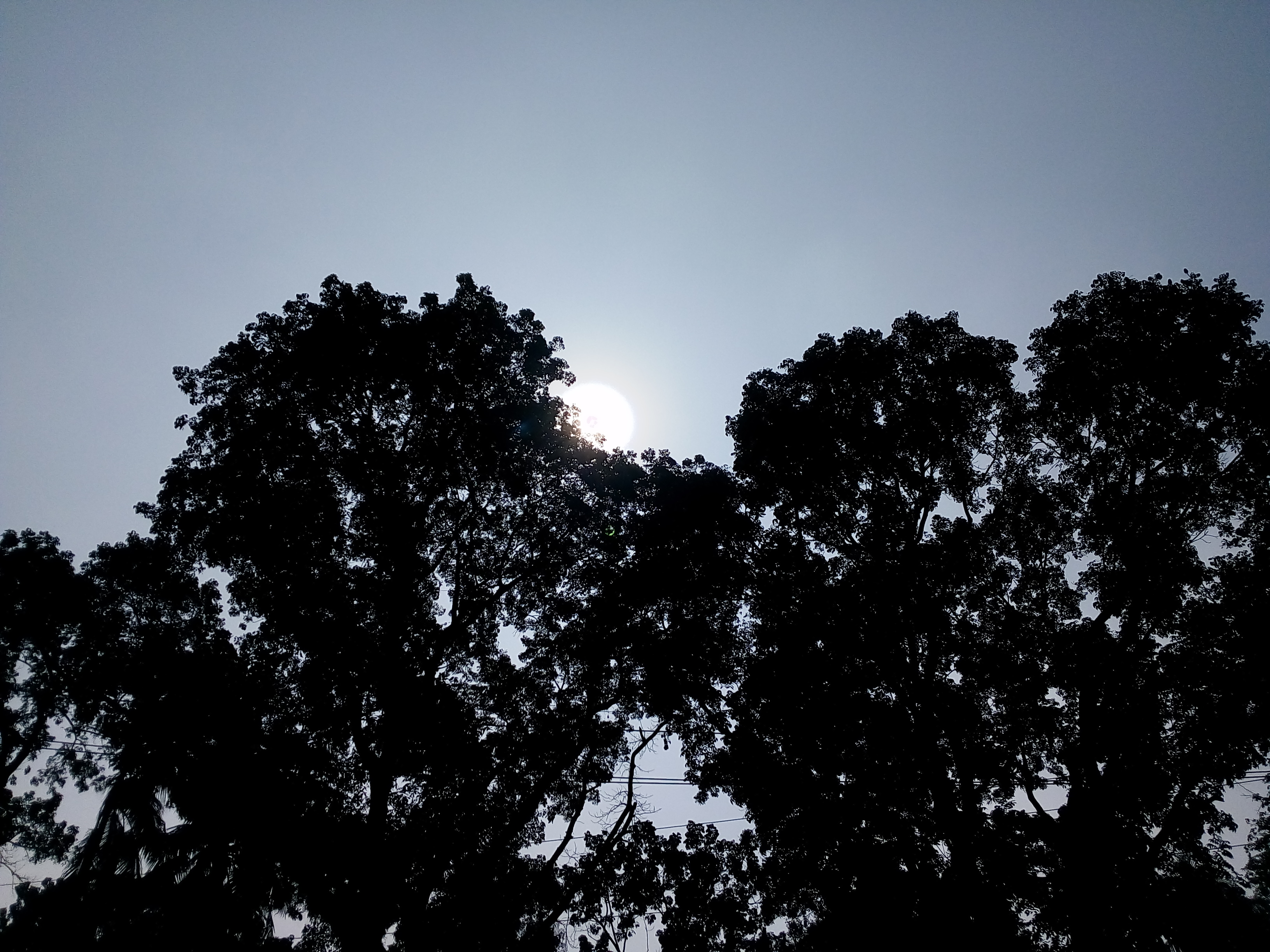 IMG_20201225_122214.jpg