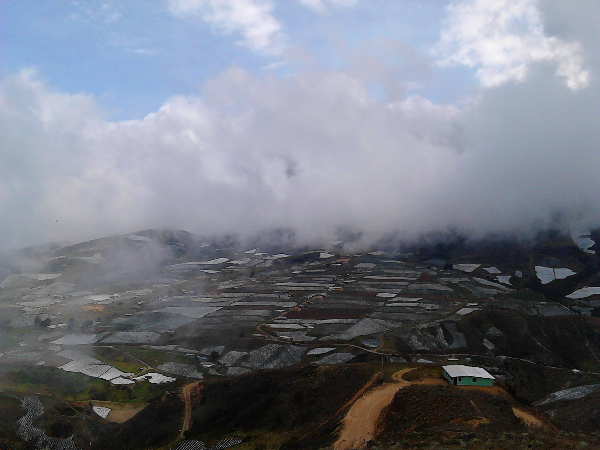 main_image