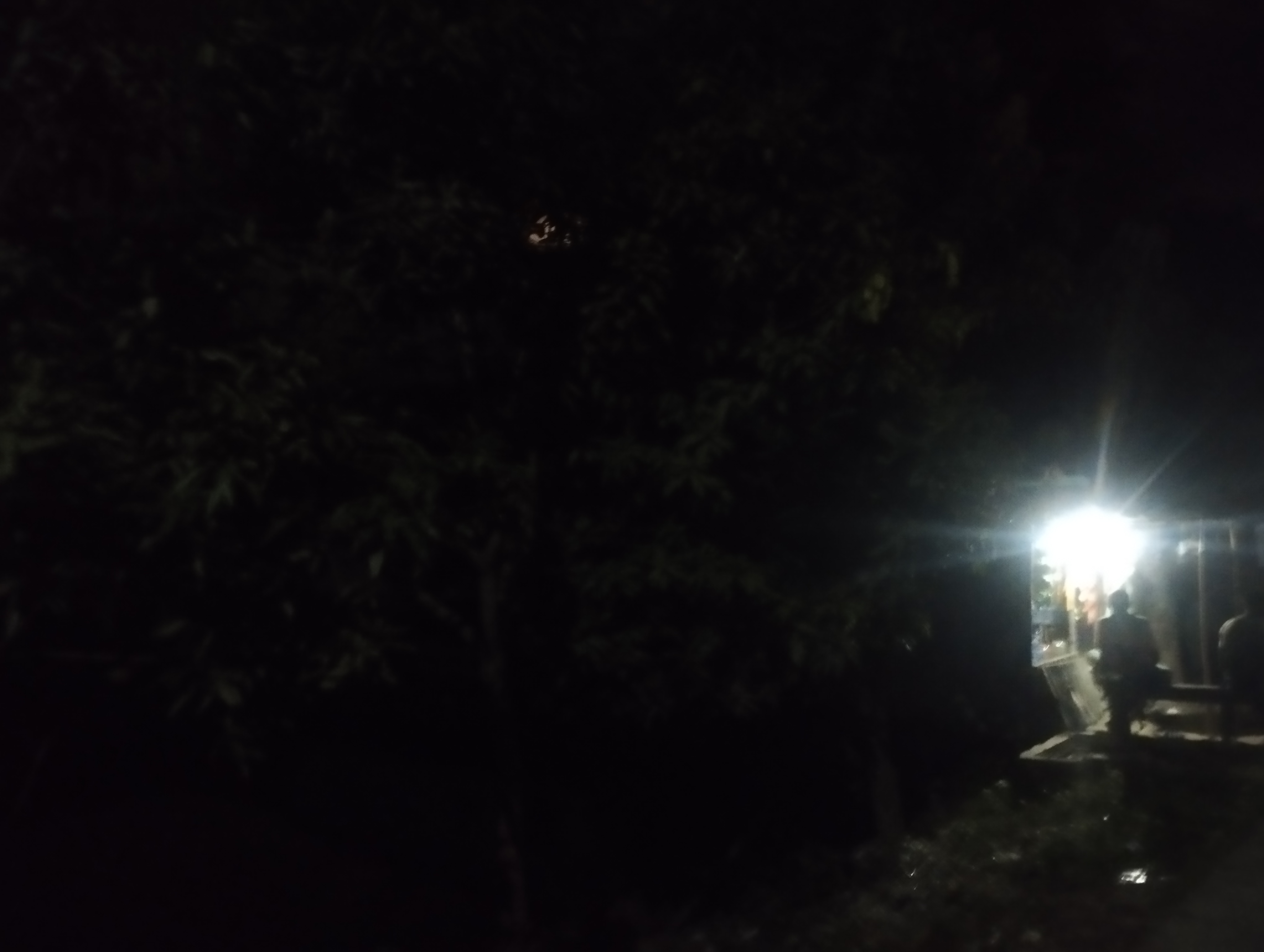 IMG_20251105_181226.jpg