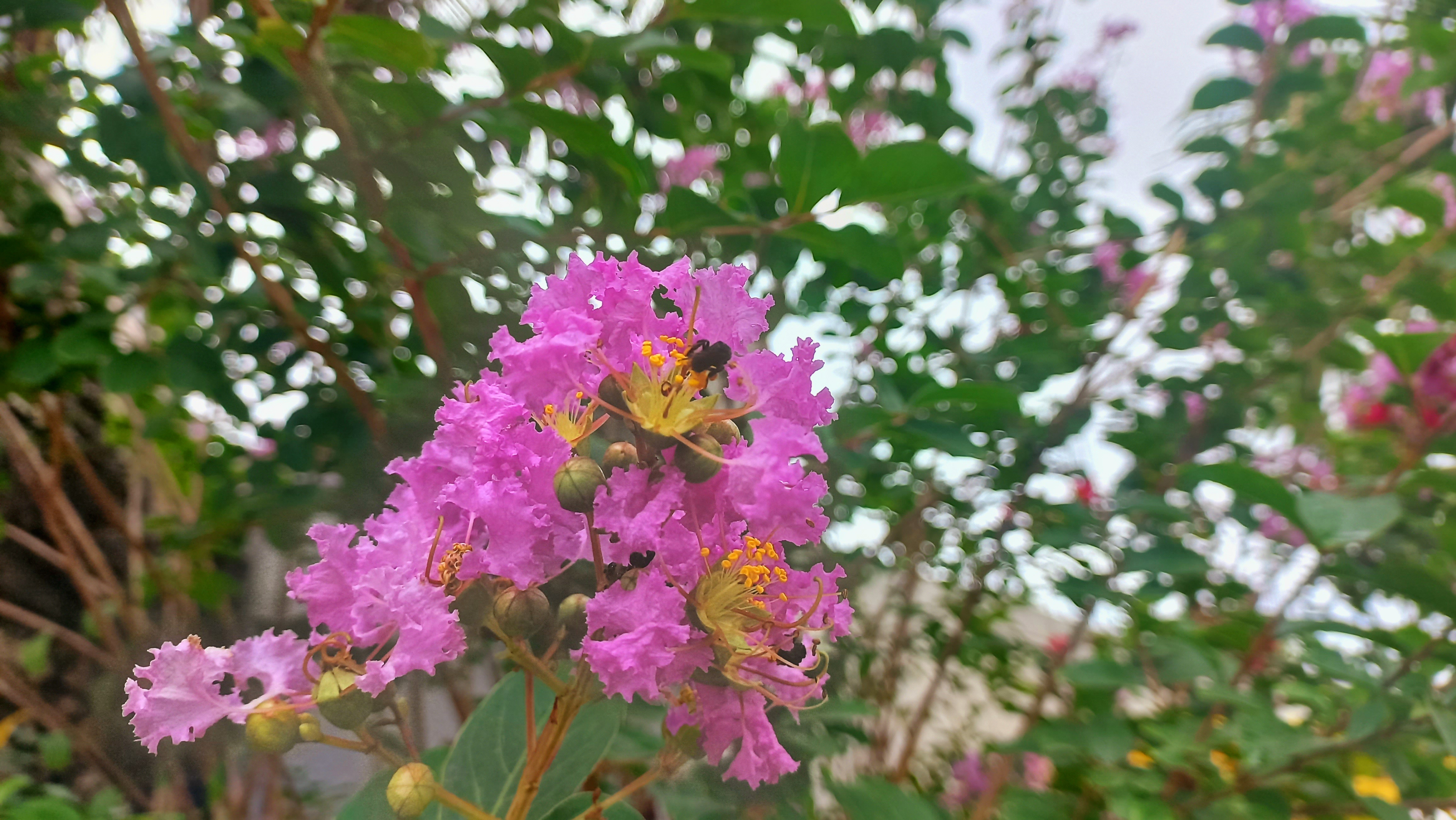 20250610_095223.jpg