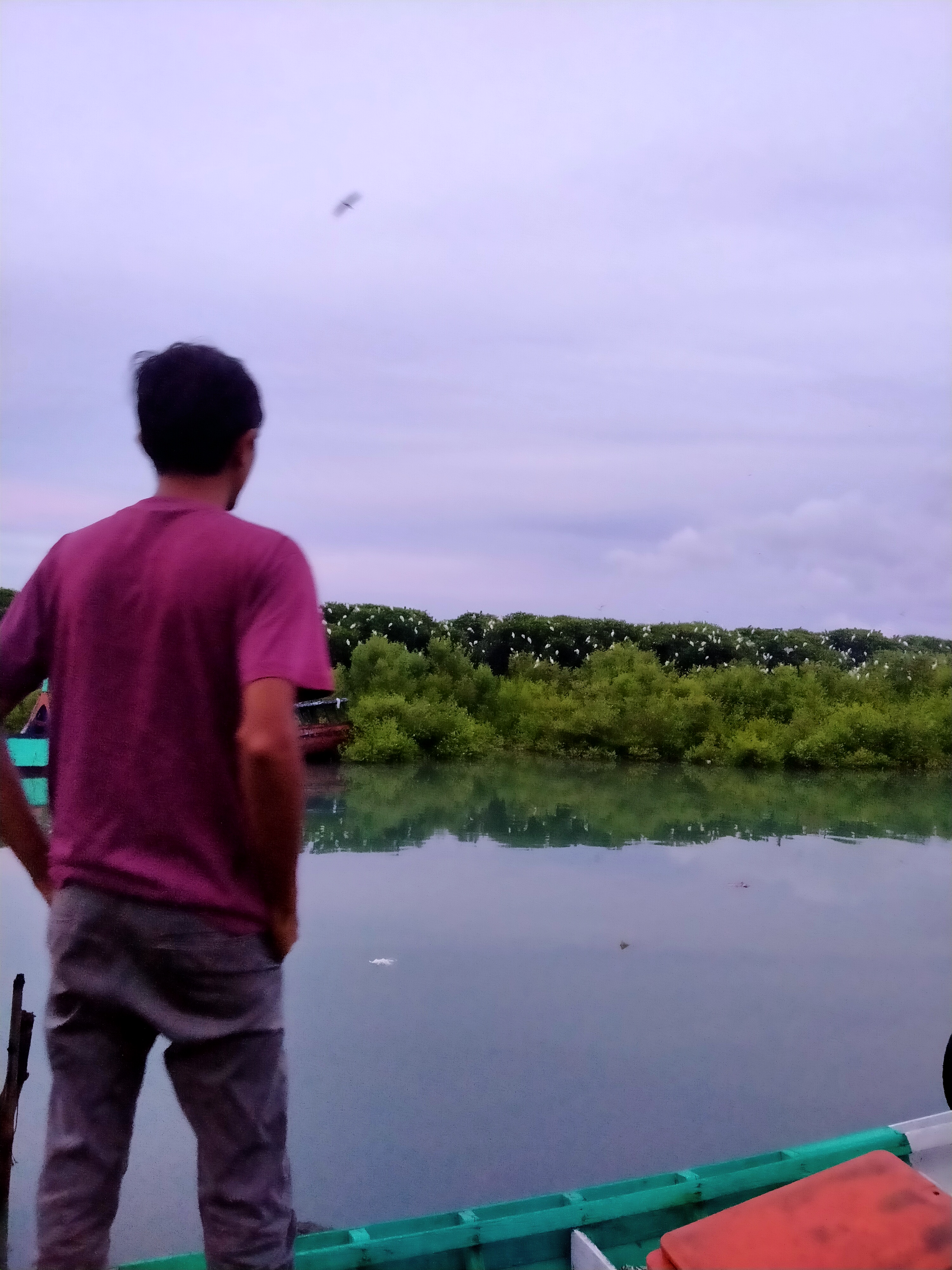 IMG20201226184006.jpg