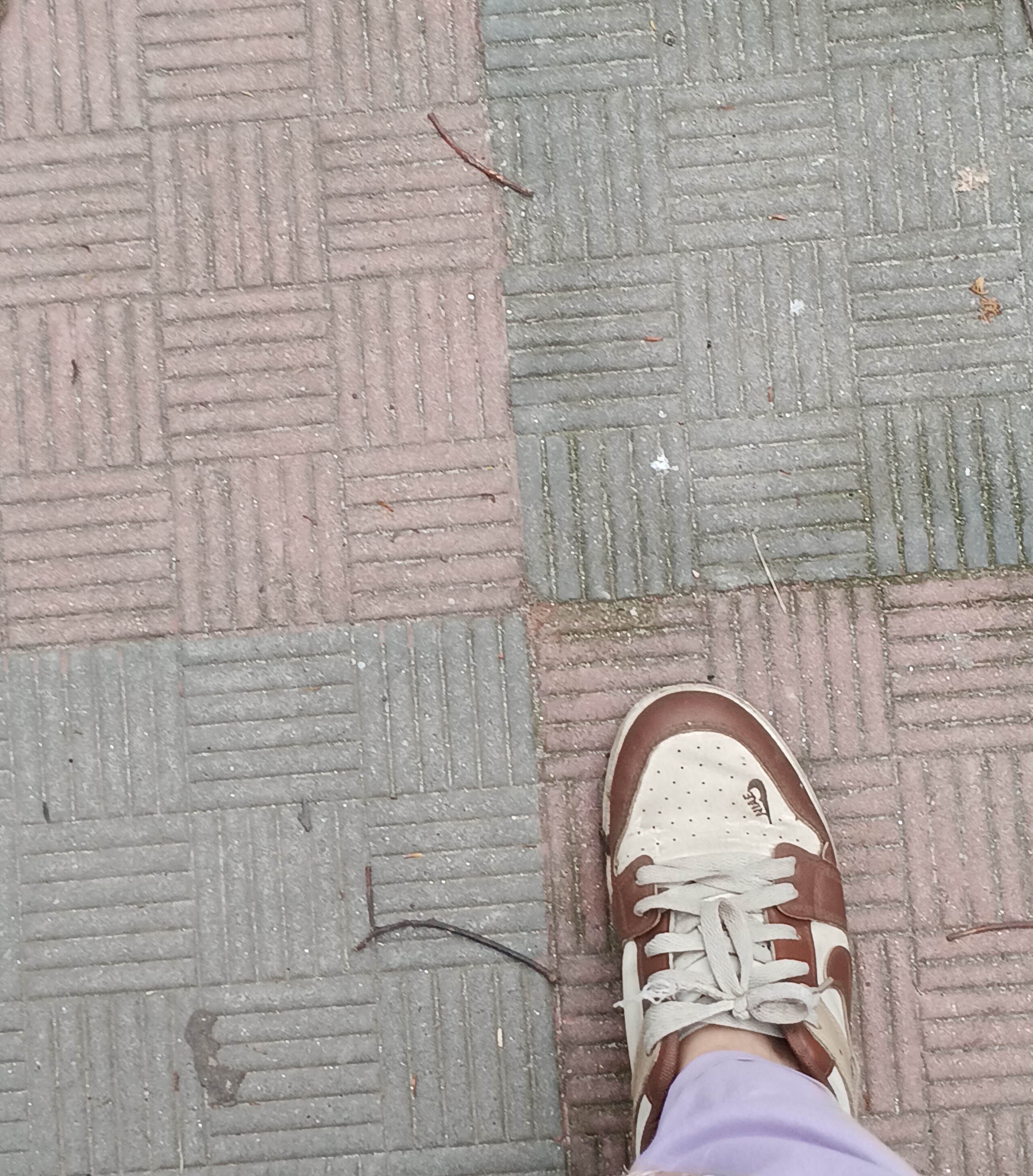43858.jpg
