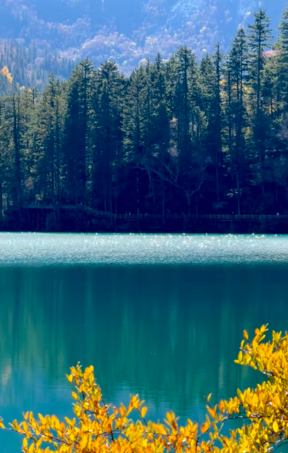 815dcc781c6b52015b7fd18fc6b30684.png