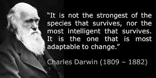 darwin.jpg