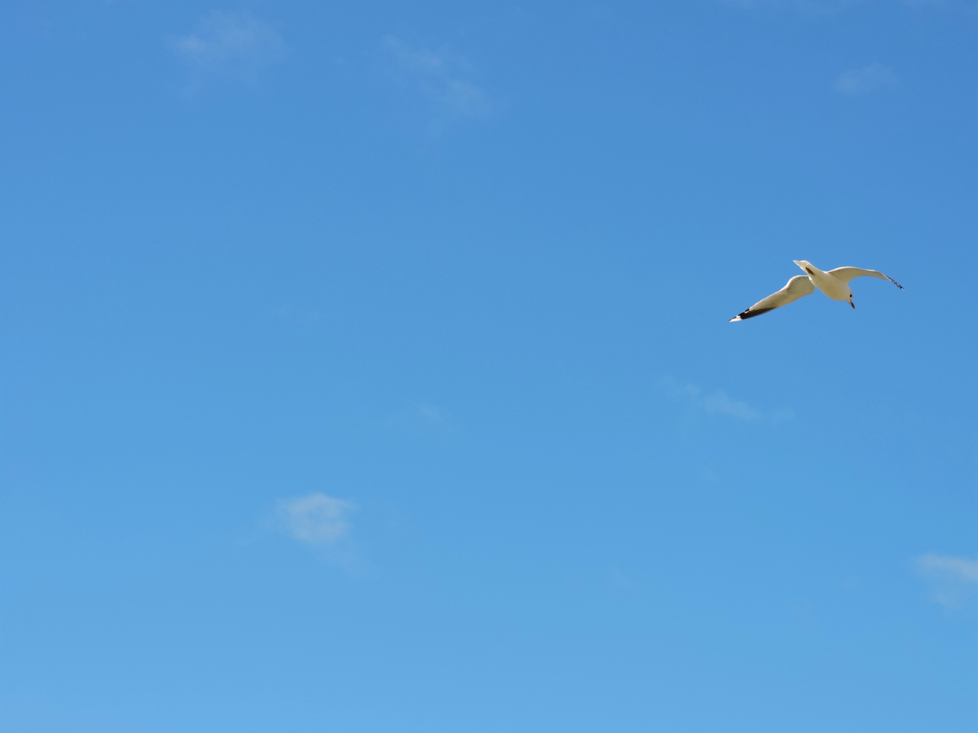 DSCN5003.JPG