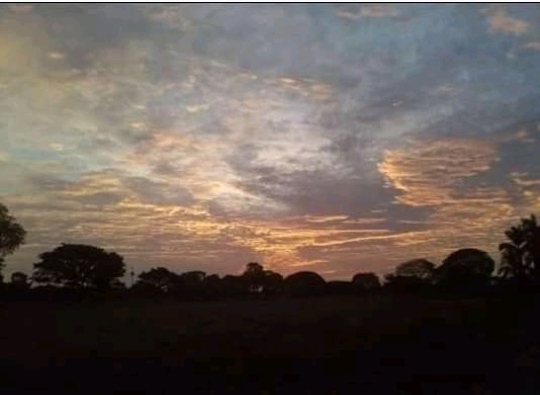 Screenshot_20210414-213238-1.jpg