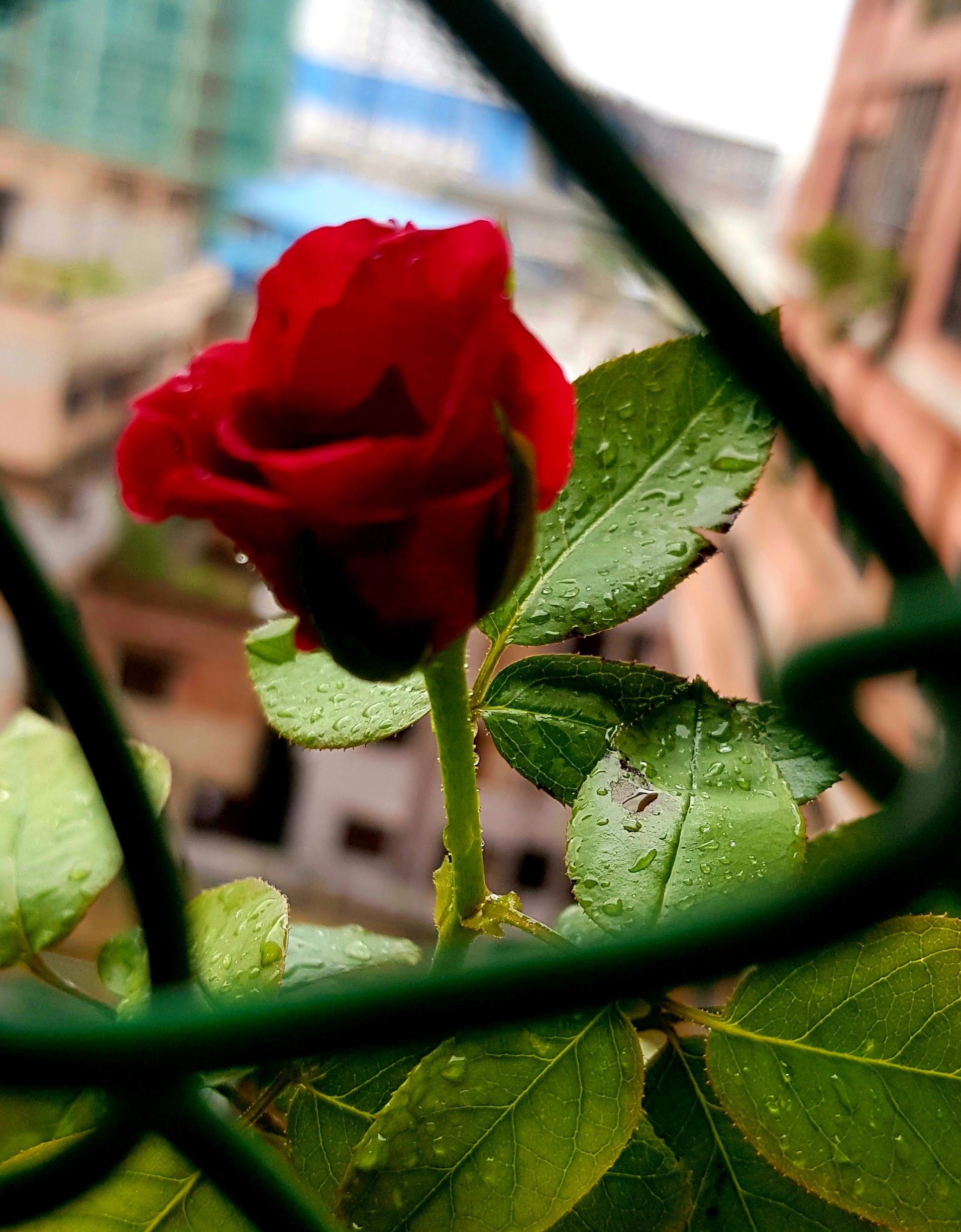 20220814_183627.jpg